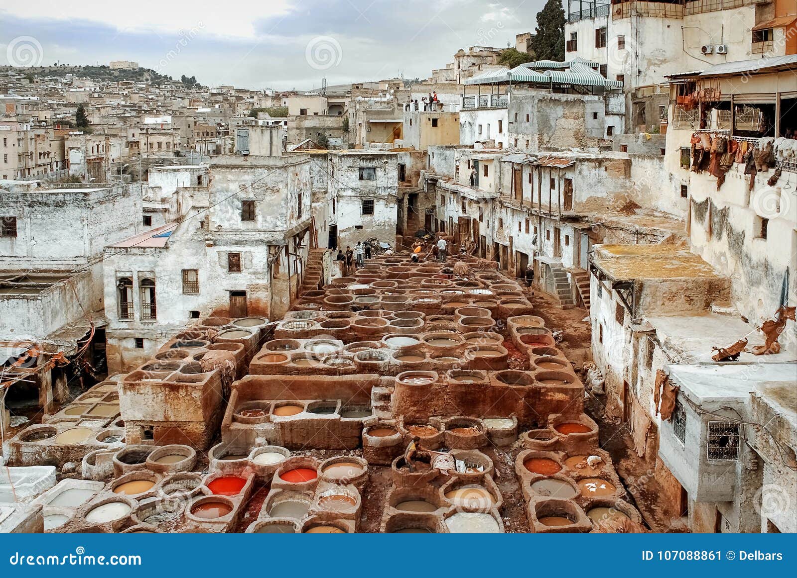 morocco, fez, the old city. workers paint the skin in dyers. medina.