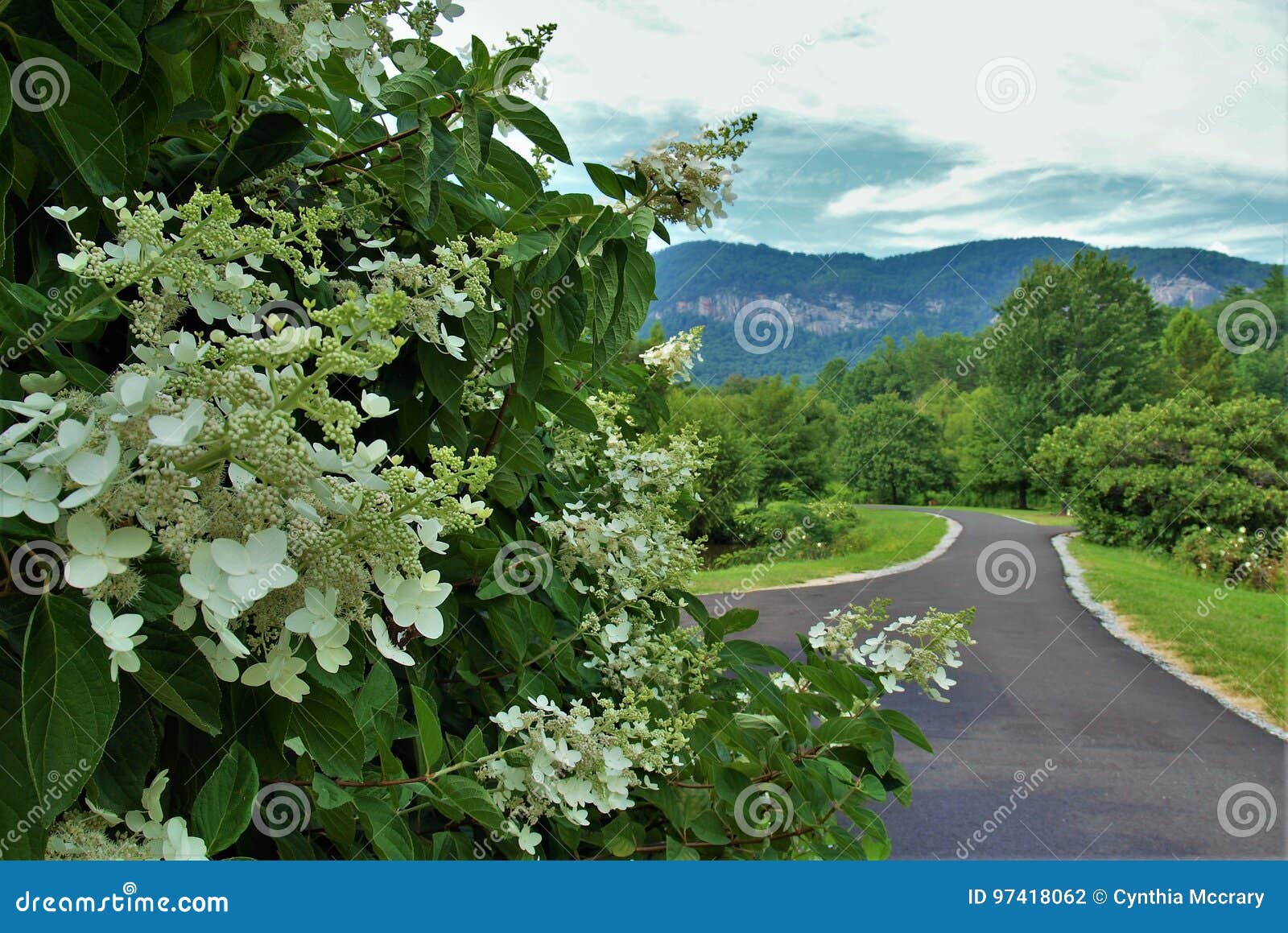 MorsePark het Lopen Sleep stock foto. Image of lokmiddel 97418062