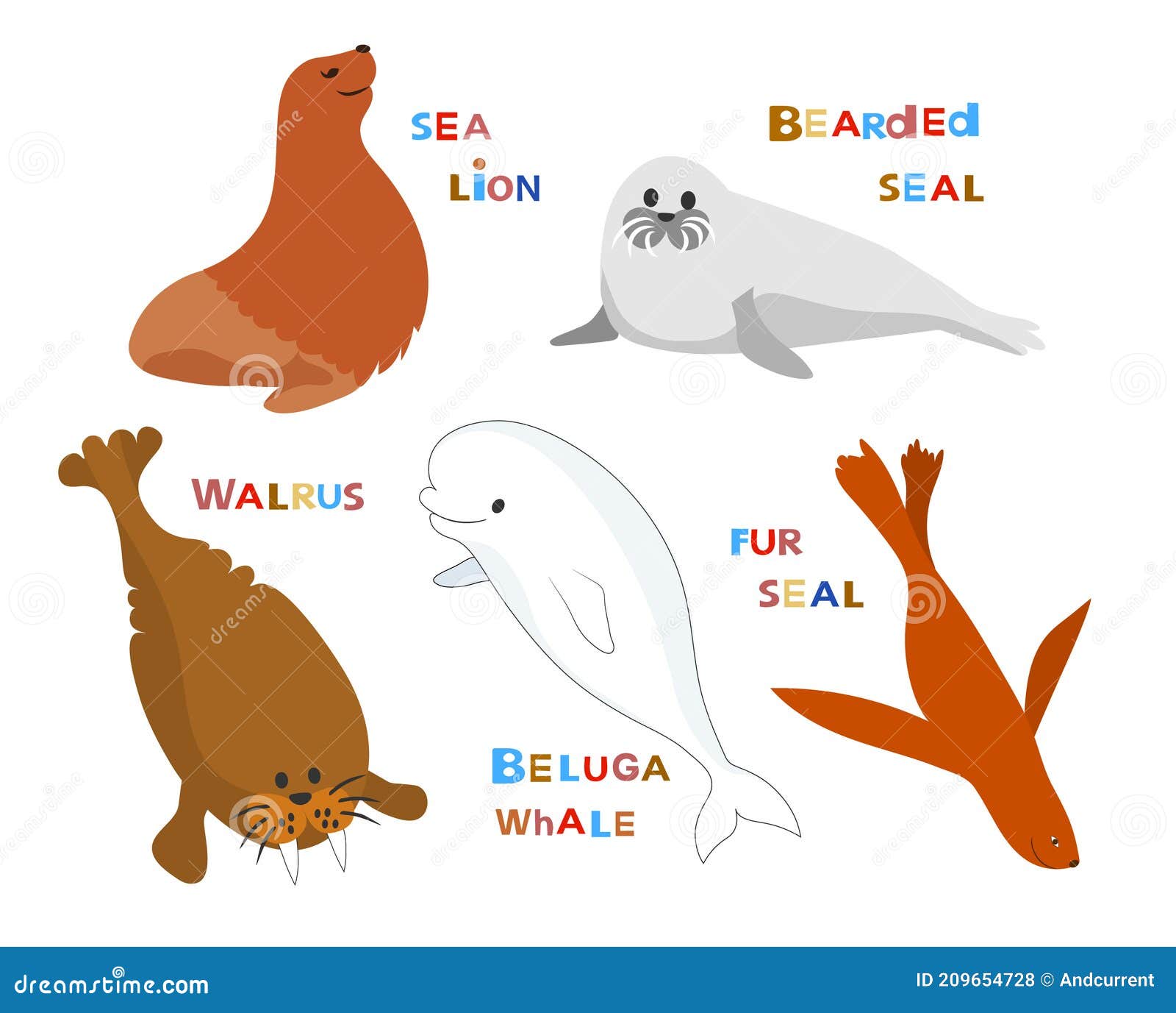 Marine Mammals. Cartoon Cute Characters Avatars Vector Collection. Stock  Vector - Illustration of kids, walrus: 209654728