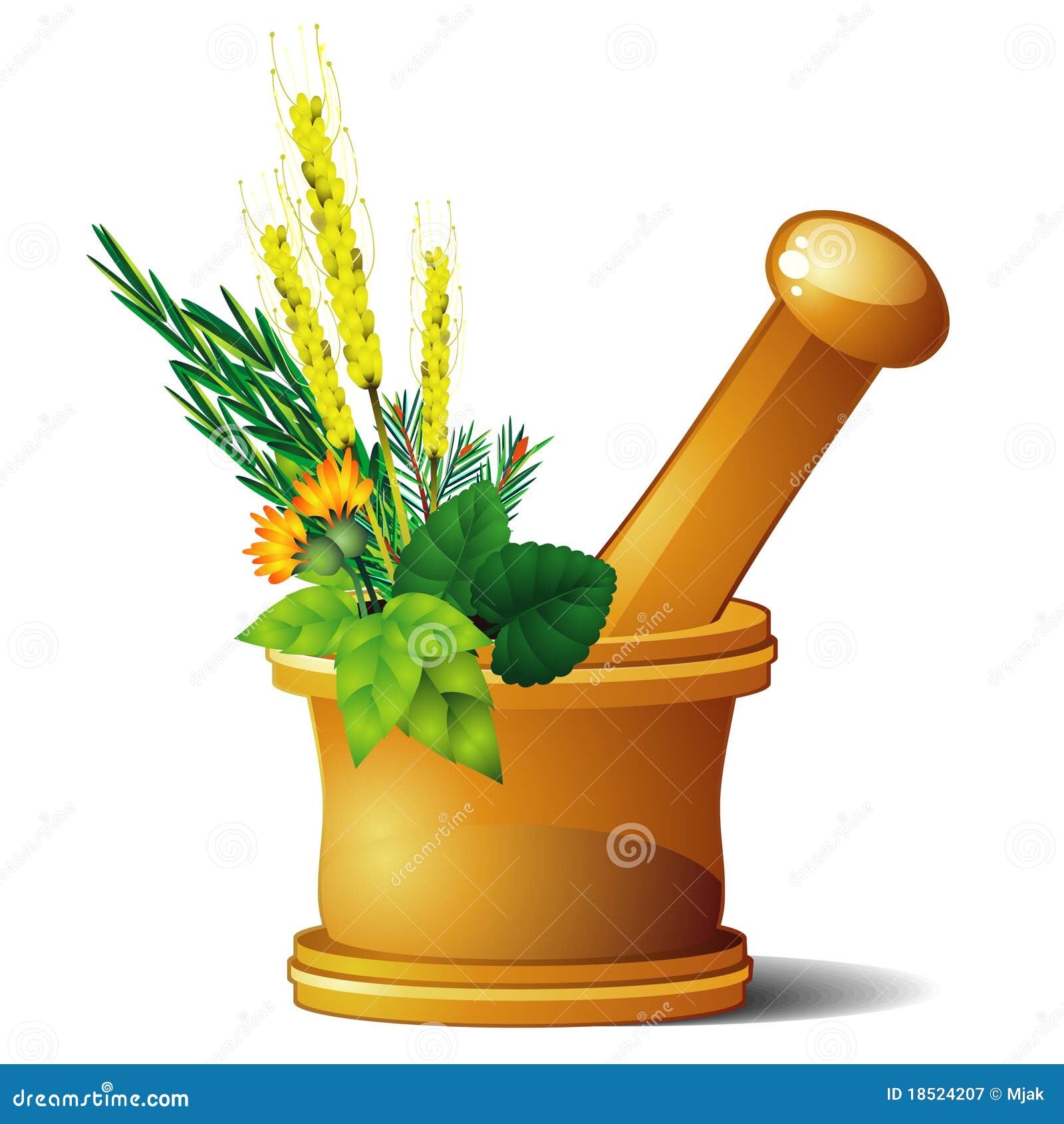 Mortar with herbs stock vector. Illustration of grass - 18524207