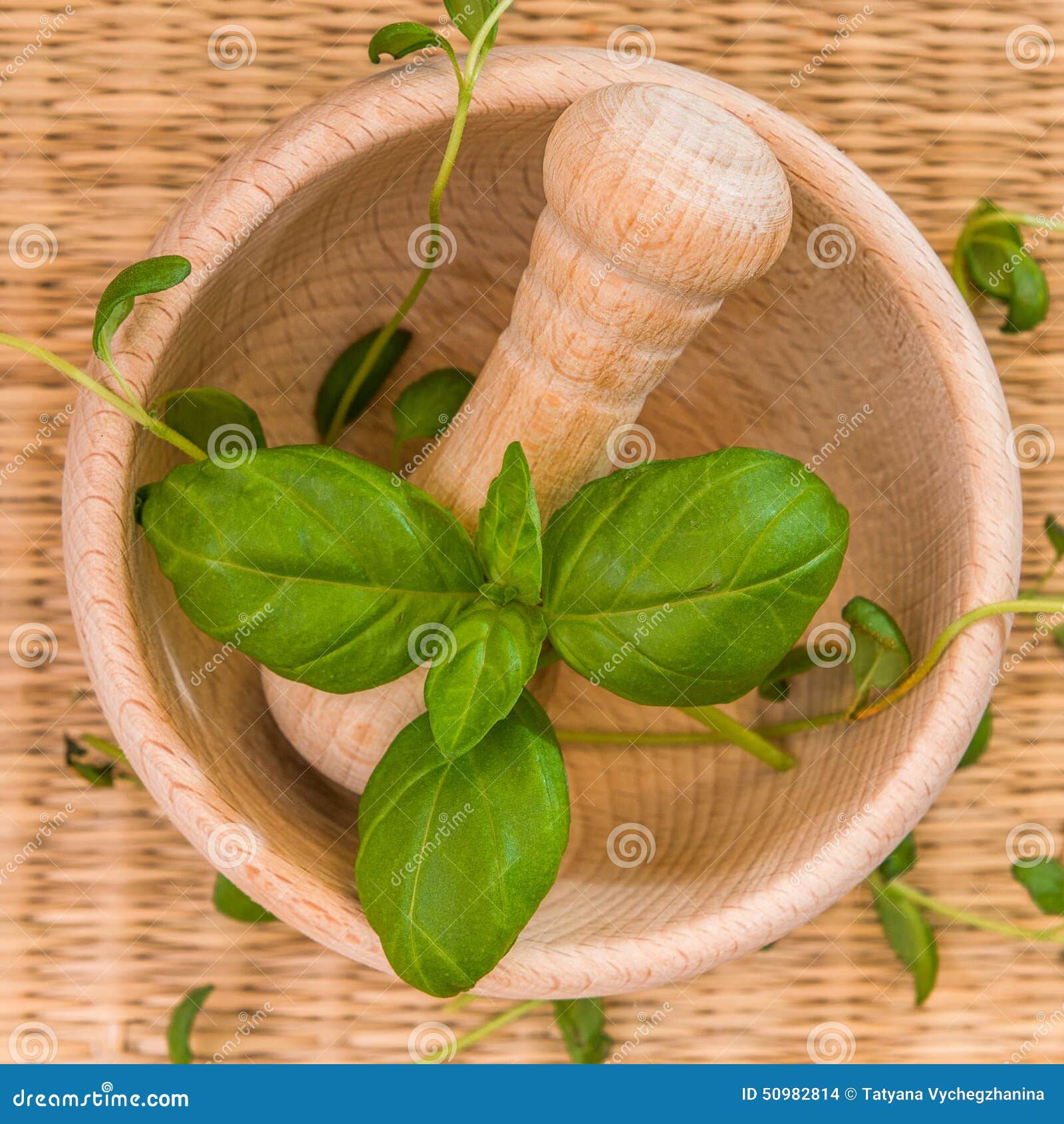 Mortar with Herbs and Spices Stock Photo Image of basil, food 50982814