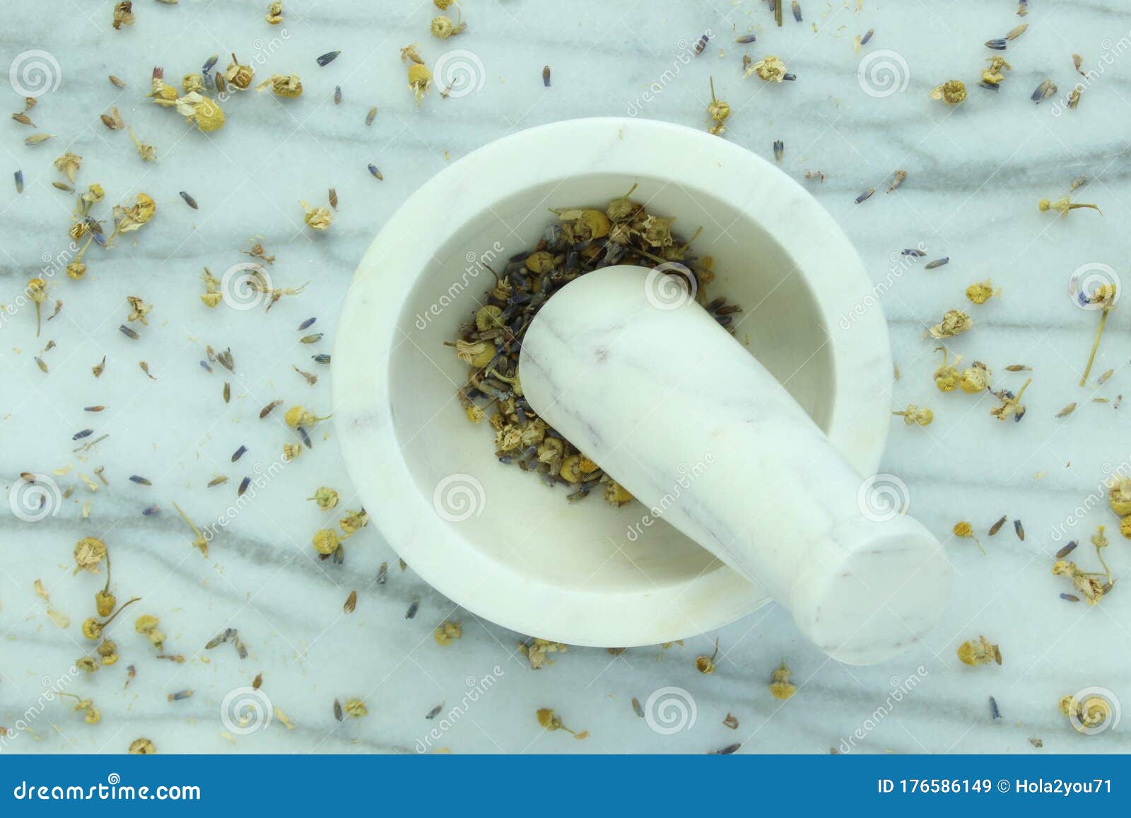 Mortar and Pestle Chamomile and Lavender Stock Image Image of dried