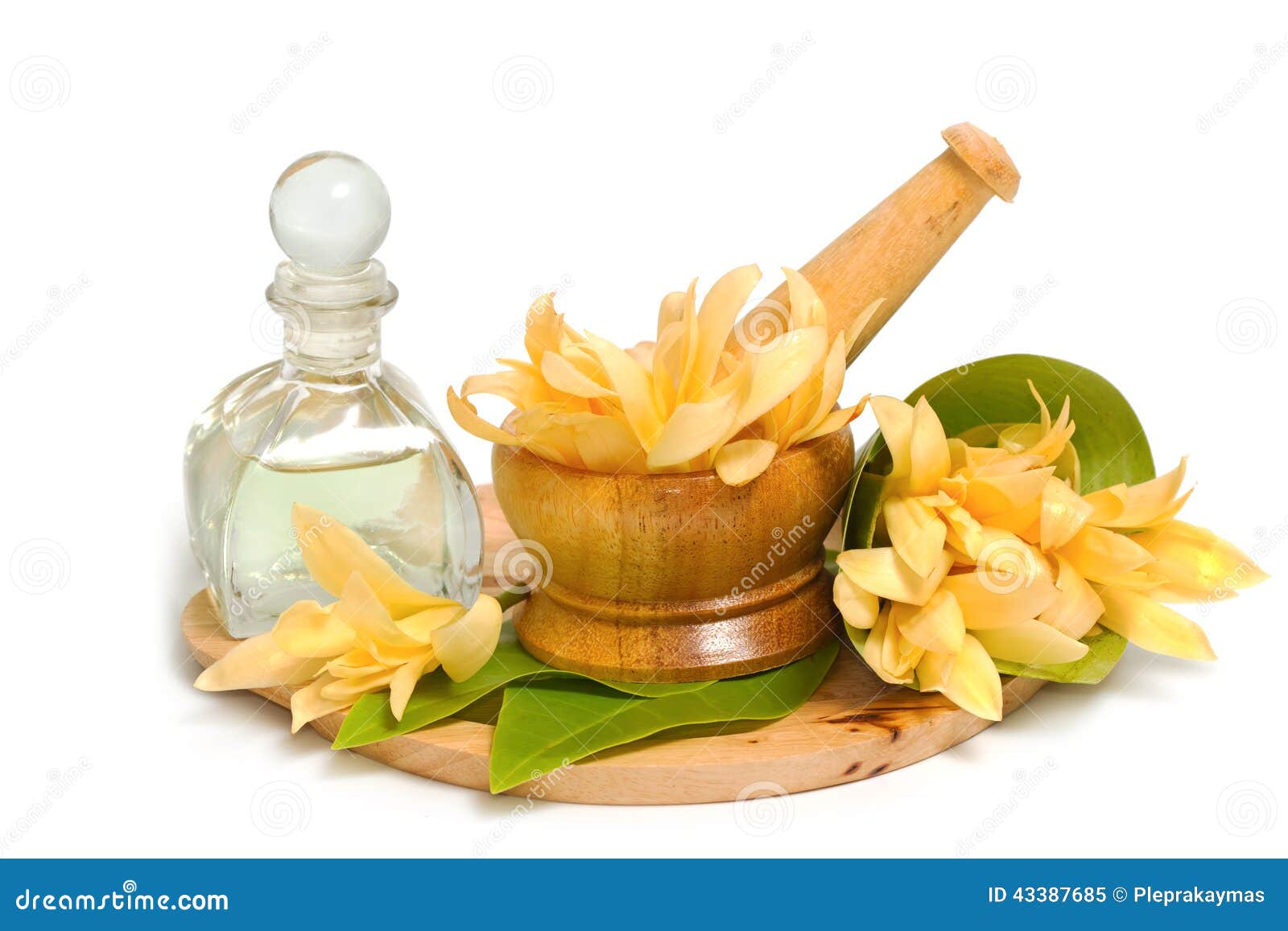 Mortar and Pestle with Champaka Essential Oil Decoration for Spa Stock