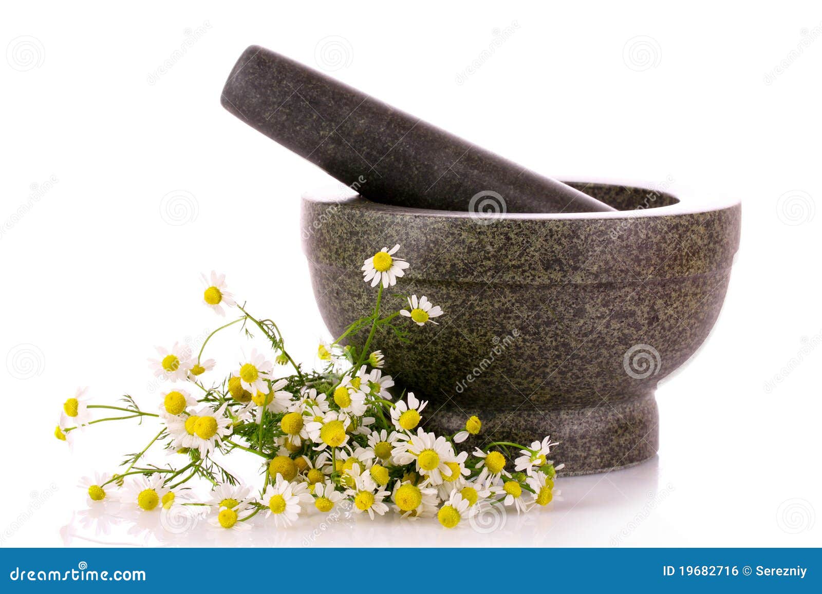 Mortar and Pestle with Flowers Isolated Stock Photo Image of herbal