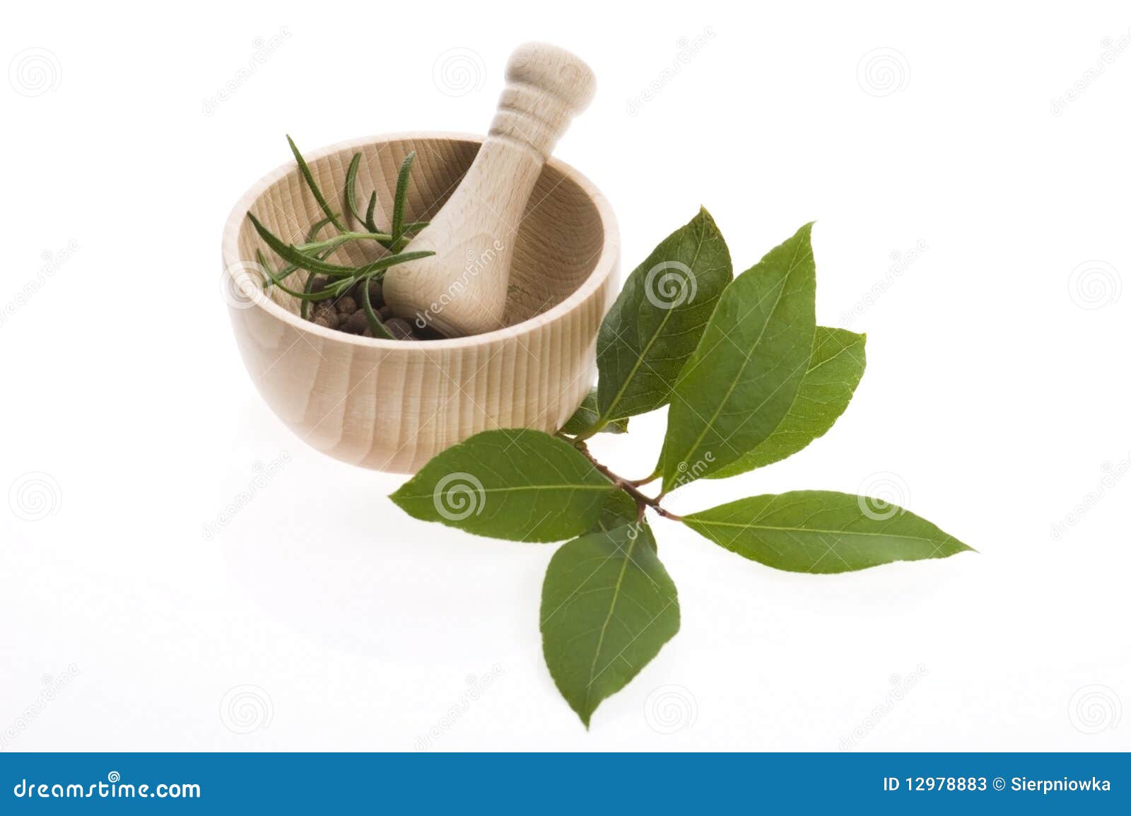 Mortar And Pestle, With Freshpicked Herbs Stock Image Image of