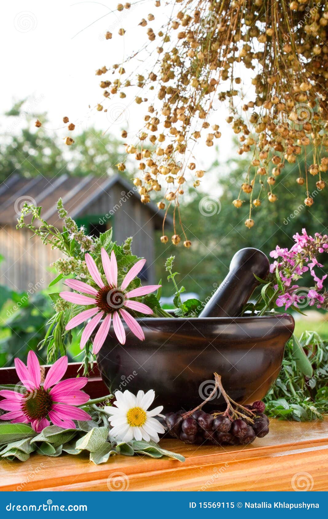 Mortar And Pestle With Healing Herbs Stock Image Image of doctor