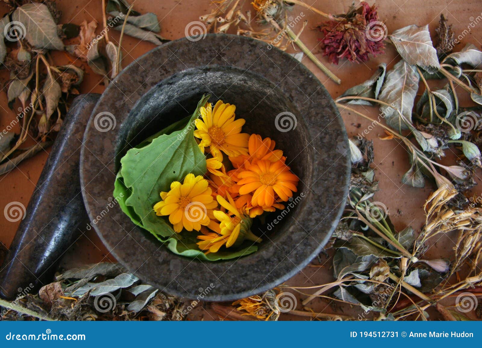 mortar and pestle, herbalism, naturopathy, flowers healing herbs, dried flowers, medicinal, autumn, october, still life, floral