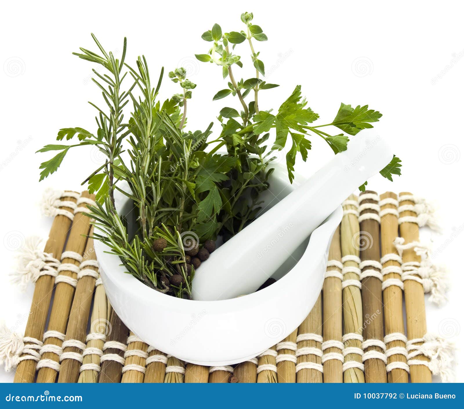 Mortar and Pestle with Herbs Stock Photo Image of ingredient, herbal