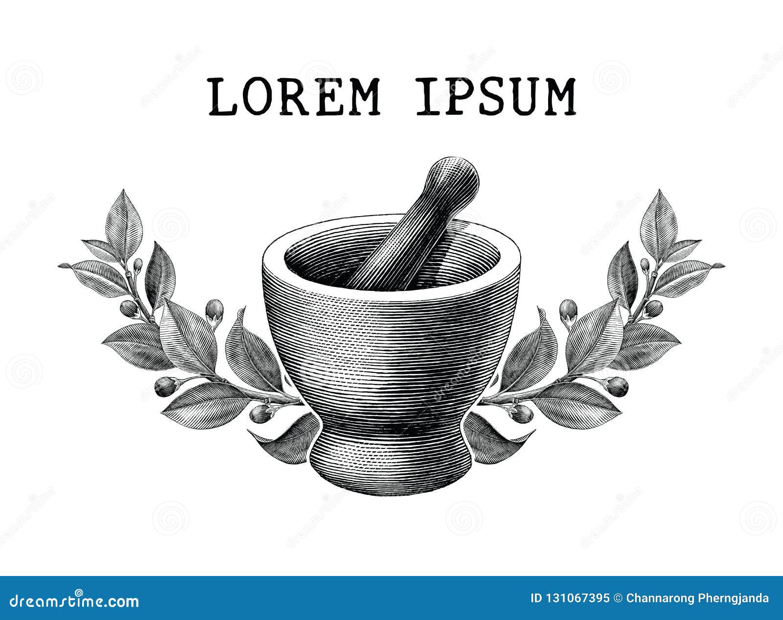 mortar and pestle with herbs frame vintage engraving  logo  on white background,logo of pharmacy and medicine