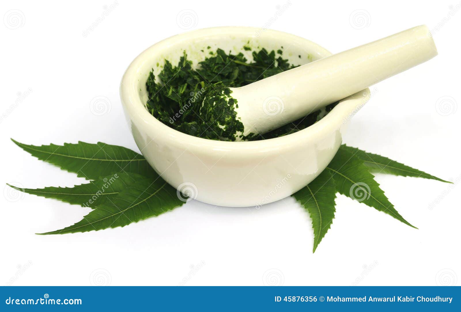 mortar and pestle with medicinal neem leaves
