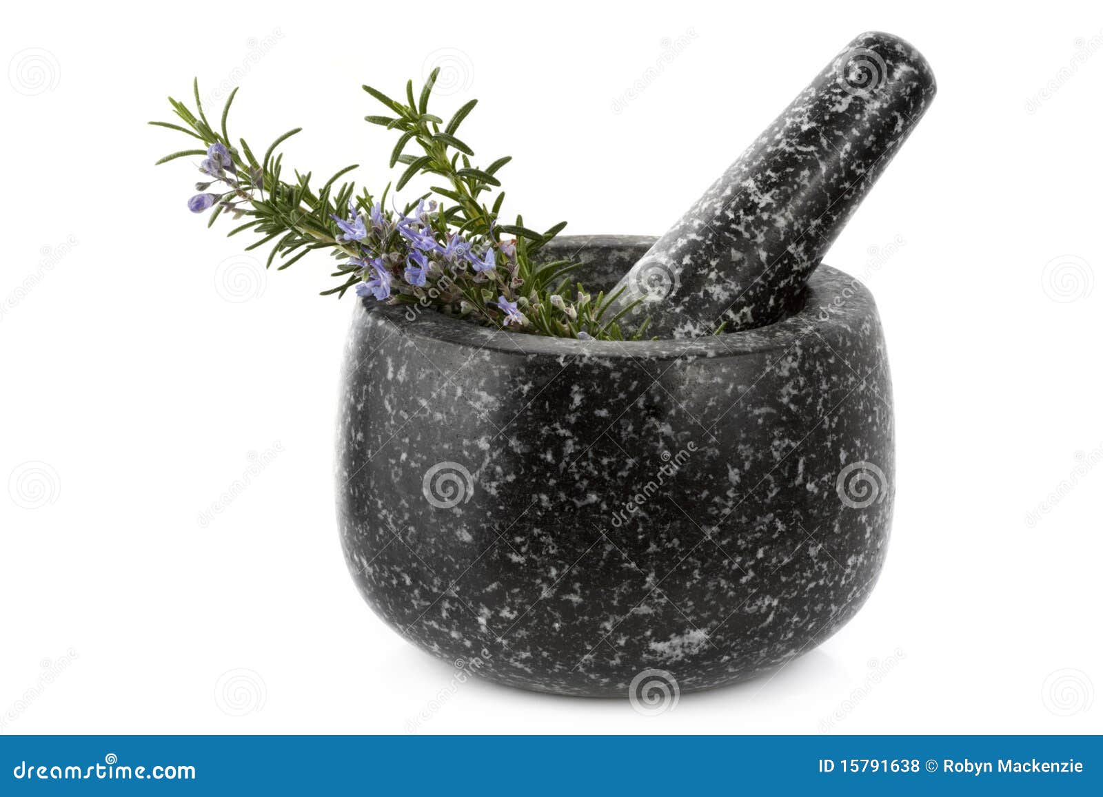 Mortar and Pestle with Rosemary Stock Photo Image of granite, colour