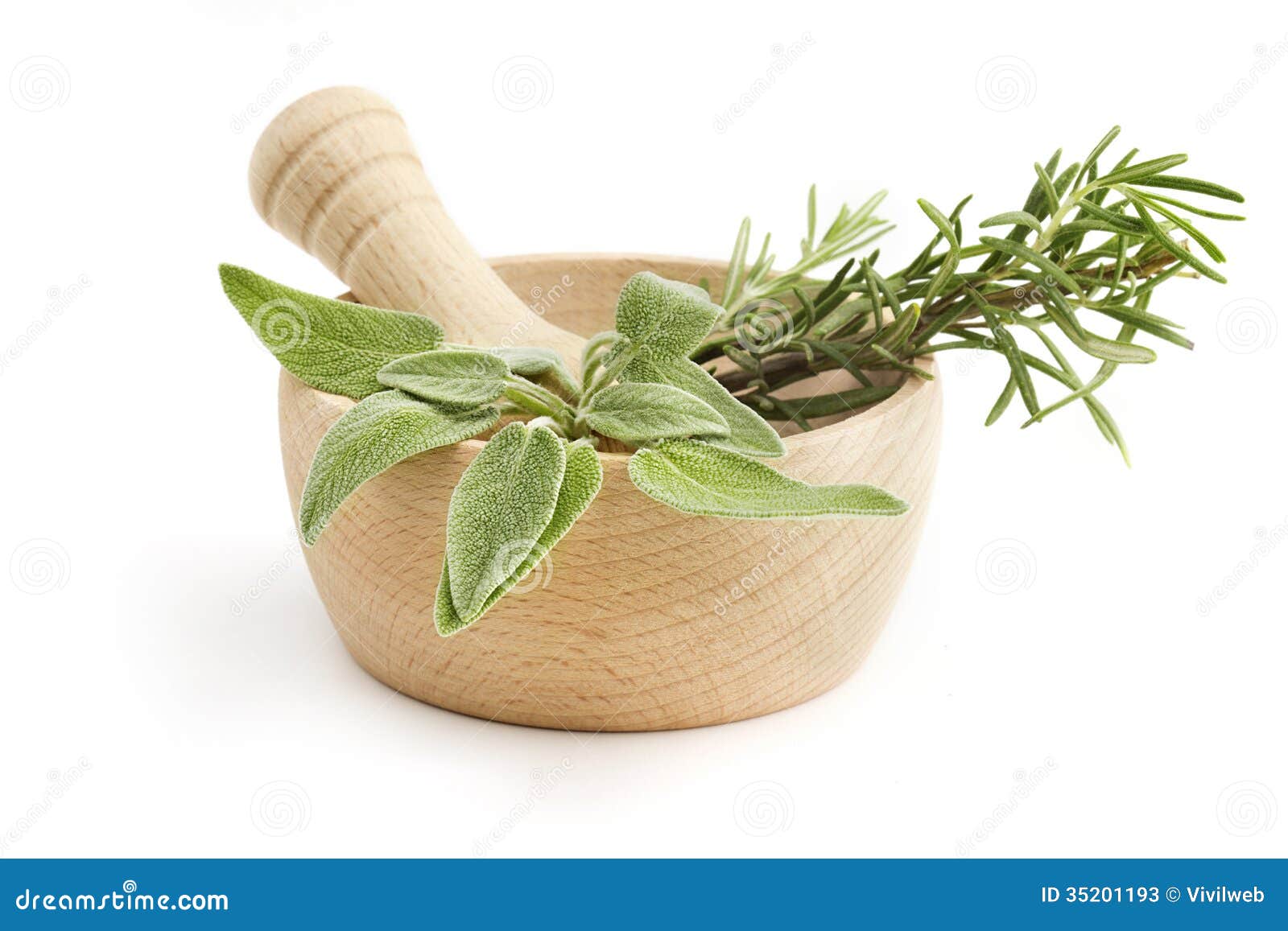 Mortar and Pestle with Sage and Rosemary Stock Image Image of healthy