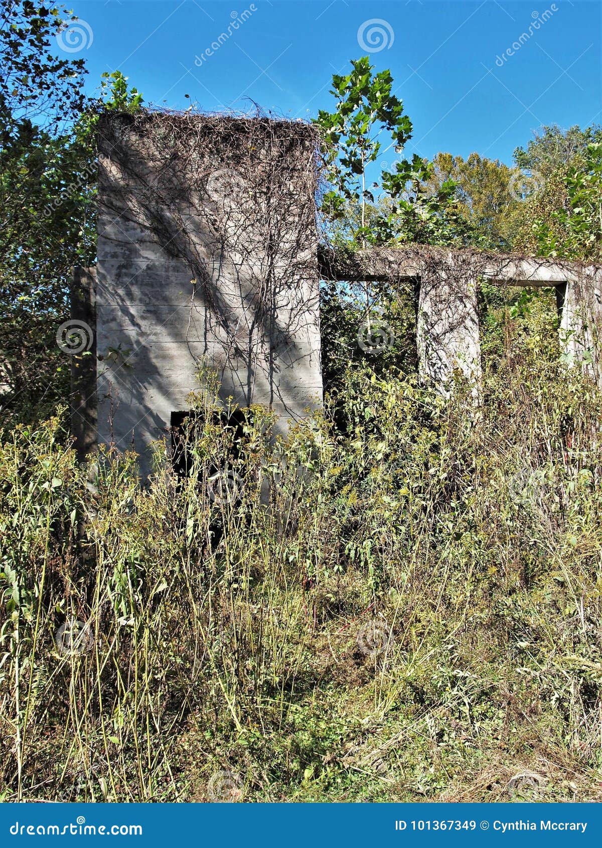 Mortimer, North Carolina stockbild. Bild von verfallen 101367349