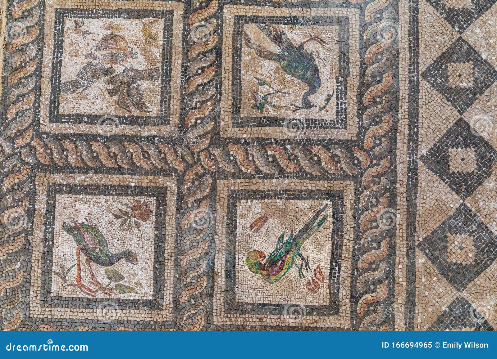 Mosaic Tile Flooring From Villa Of The Birds