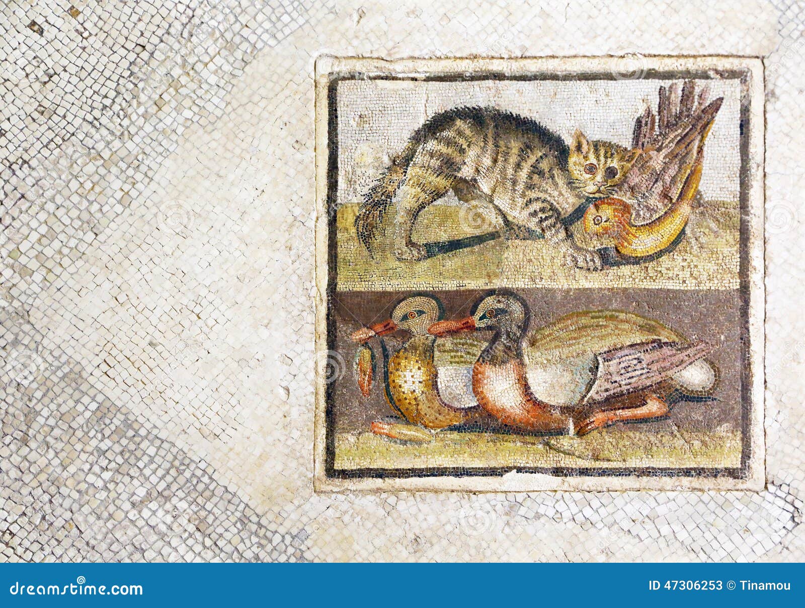 Mosaico Romano Piacevole Con Il Gatto Che Insegue Un Anatra Immagine Stock Immagine Di Italia Visivo
