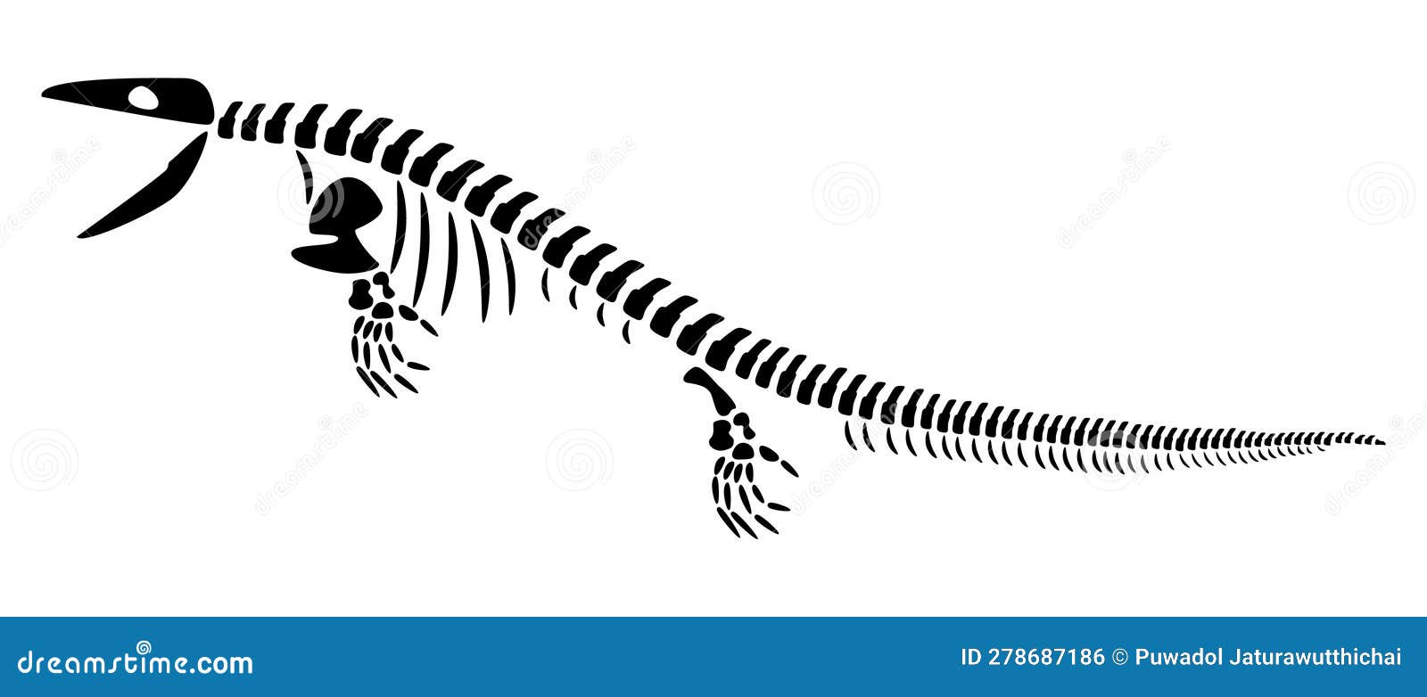 Mosasaurus Skeleton . Silhouette Aquatic Dinosaurs . Side View . Vector