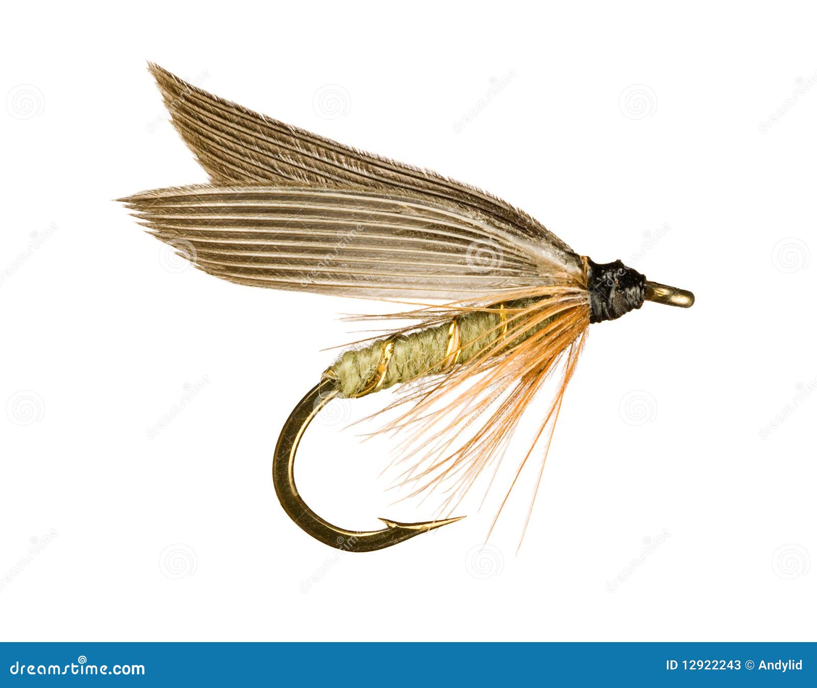 Pesca de Truta Mosca imagem de stock. Imagem de azeitona - 12922243, image size:1600x1349