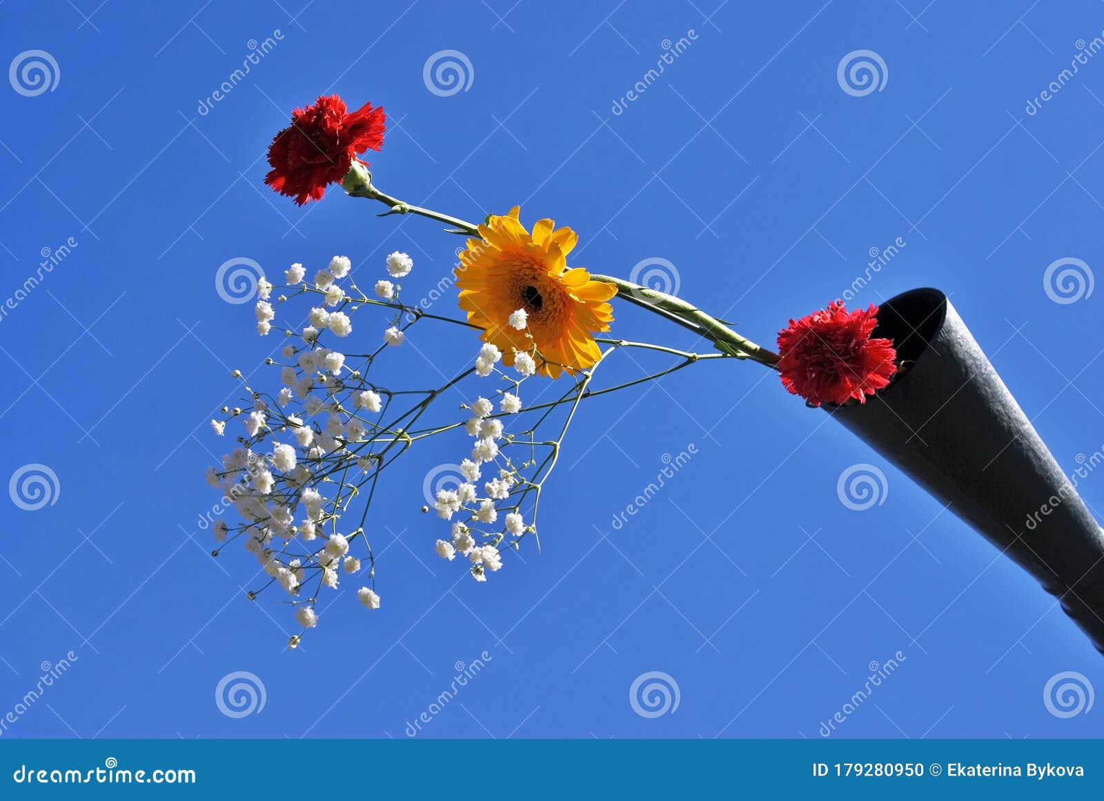 Flowers Put Inside a Gun Barrel. Peace Symbol. Victory Day Celebration