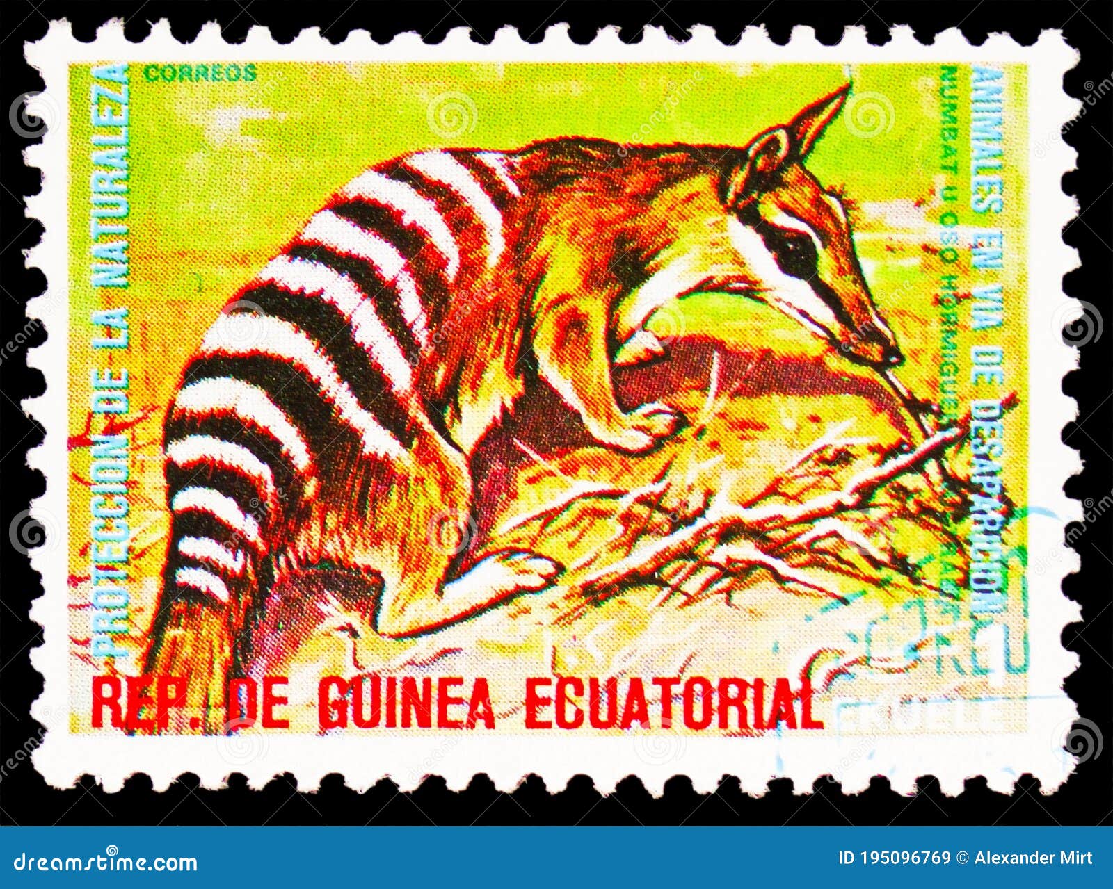 Postage Stamp Printed in Equatorial Guinea Shows Numbat Myrmecobius Fasciatus, Endangered Animals Serie, Circa 1974 Editorial Stock Image - Image of moscow, animal: 195096769 Postage Stamp Printed in Equatorial Guinea Shows Numbat Myrmecobius Fasciatus, Endangered Animals Serie, Circa 1974 Editorial Stock Image - Image of moscow, animal: 195096769