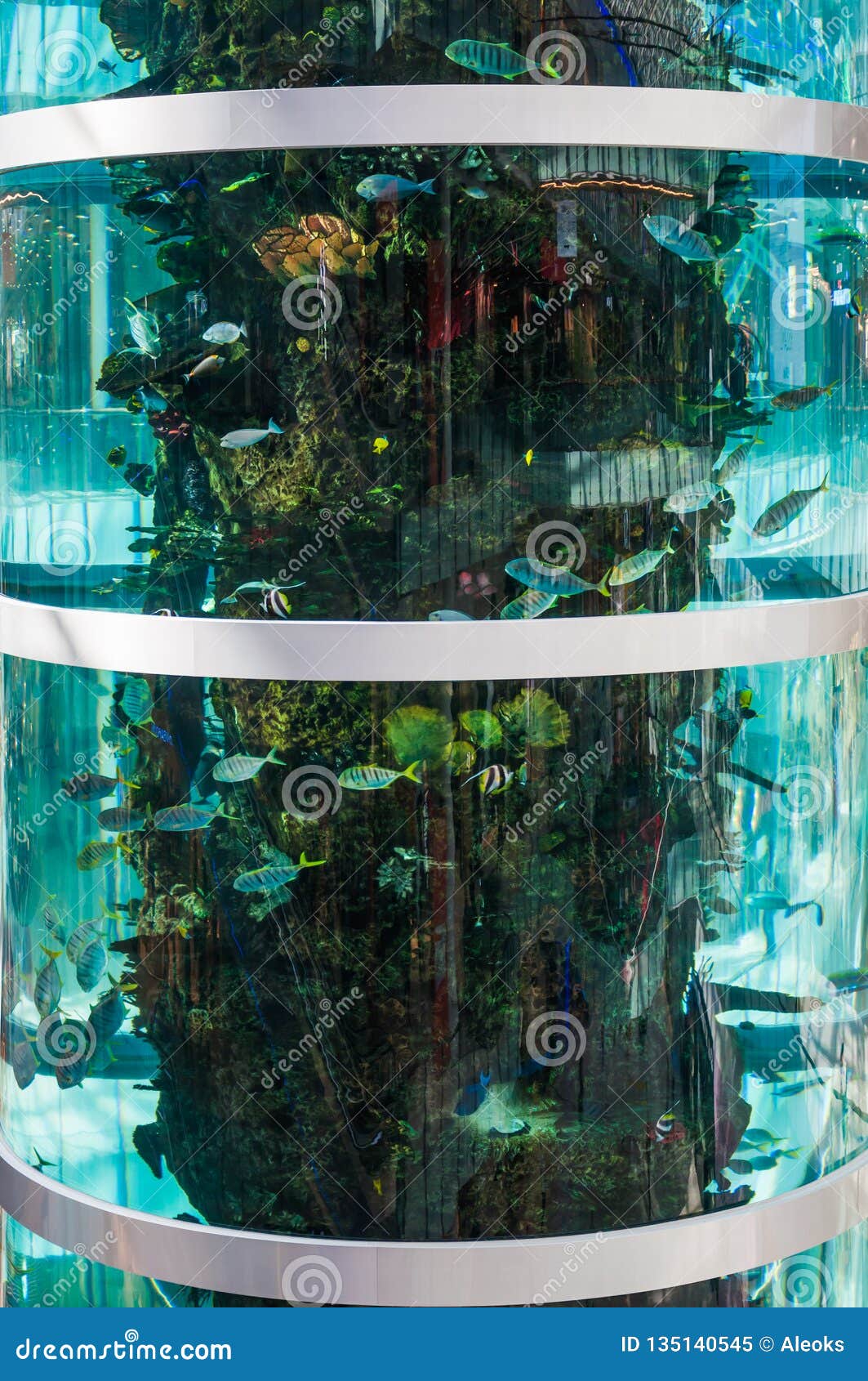 A Fragment of the Tallest Cylindrical Aquarium in the World in the