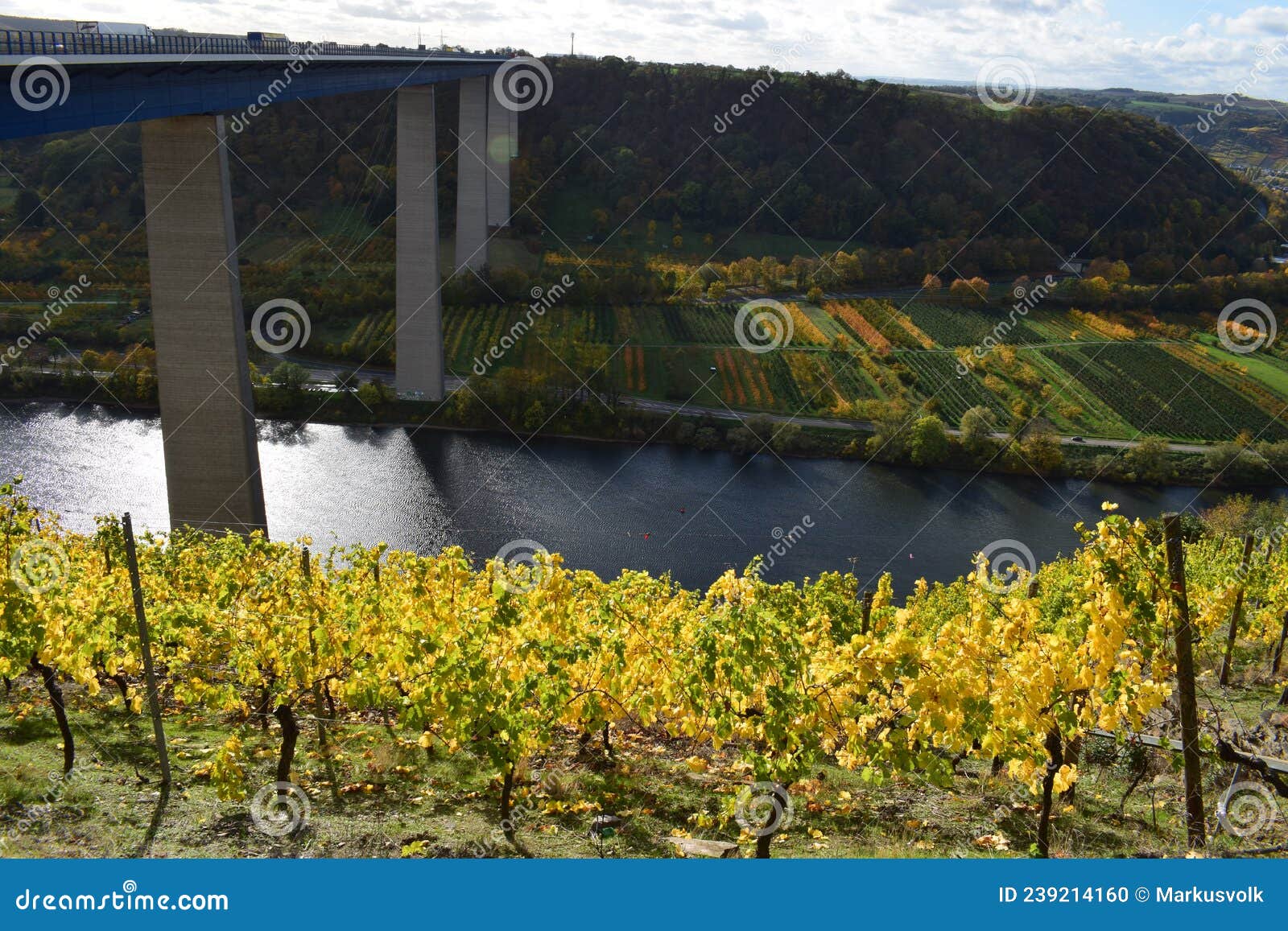 moseltalbrÃÂ¼cke with autumn vineyards on both sides of th mosel