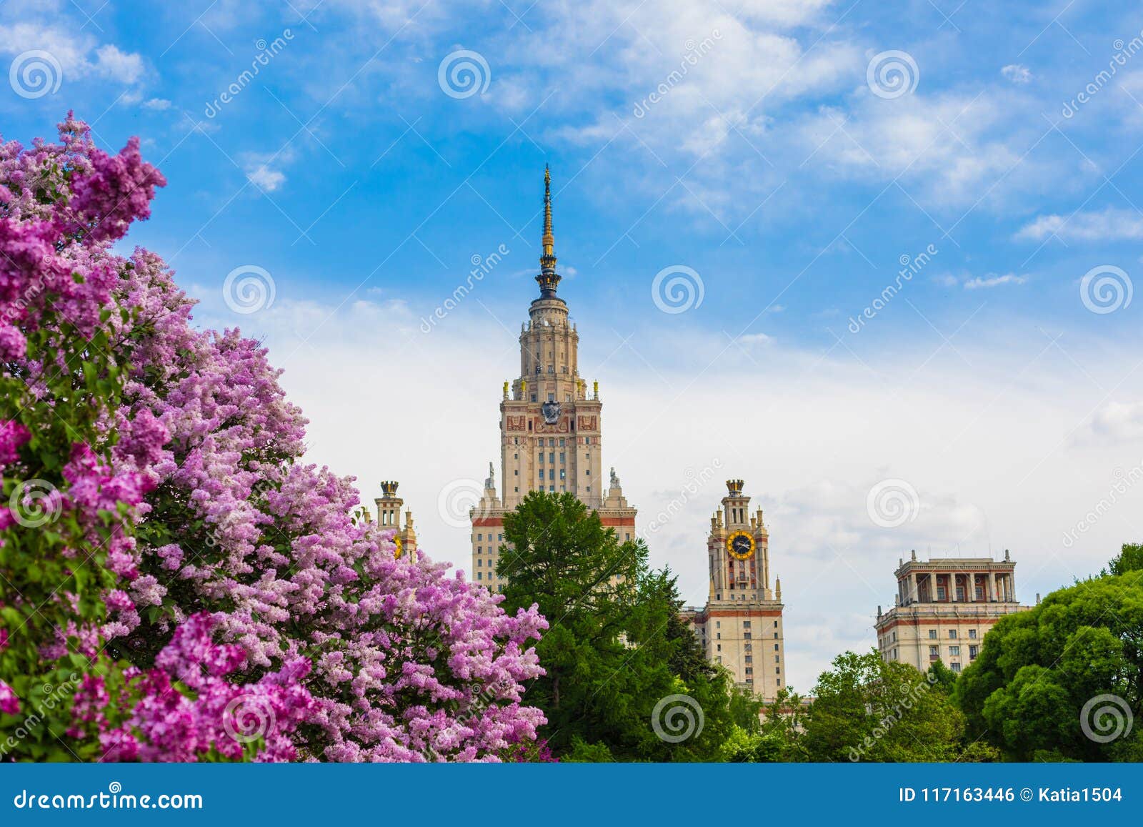 Мгу весной. Сирень Московский университет. Москва сирень МГУ. Парк сирени МГУ. Аллея МГУ сирень.