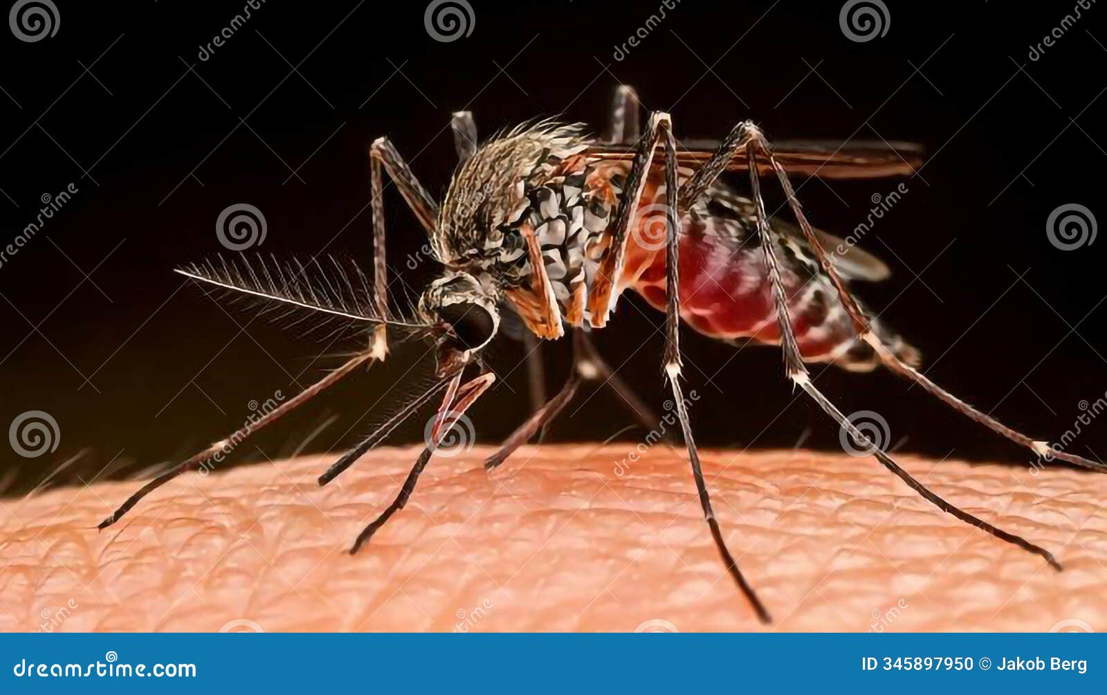 a mosquito is biting a person's arm