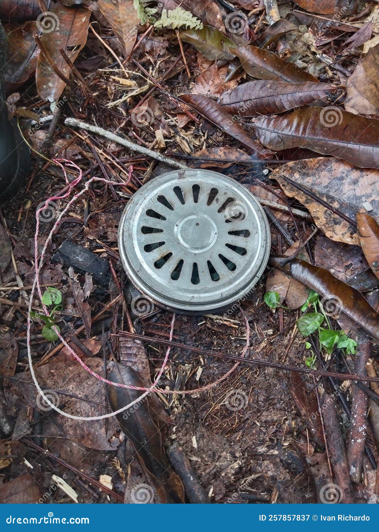 The Mosquito Coil is Made of Iron Plate Stock Image Image of coil