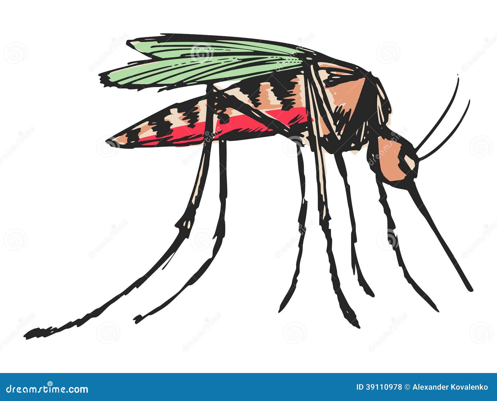 How to Draw a Mosquito Step by Step for Kids