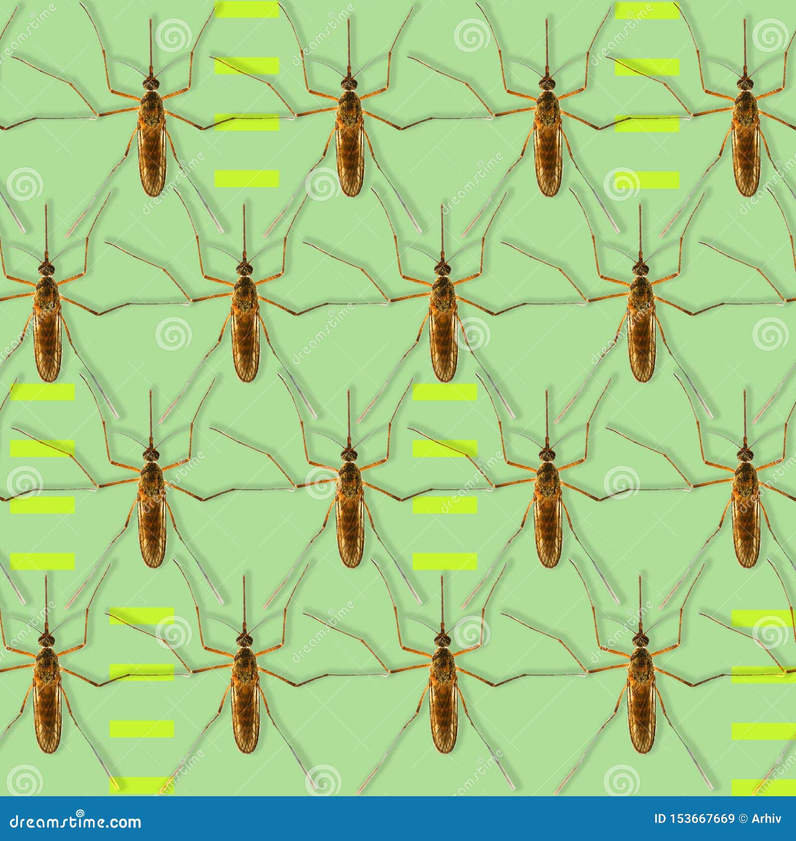 Mosquito Pattern Natural Insect Stock Illustration Illustration of