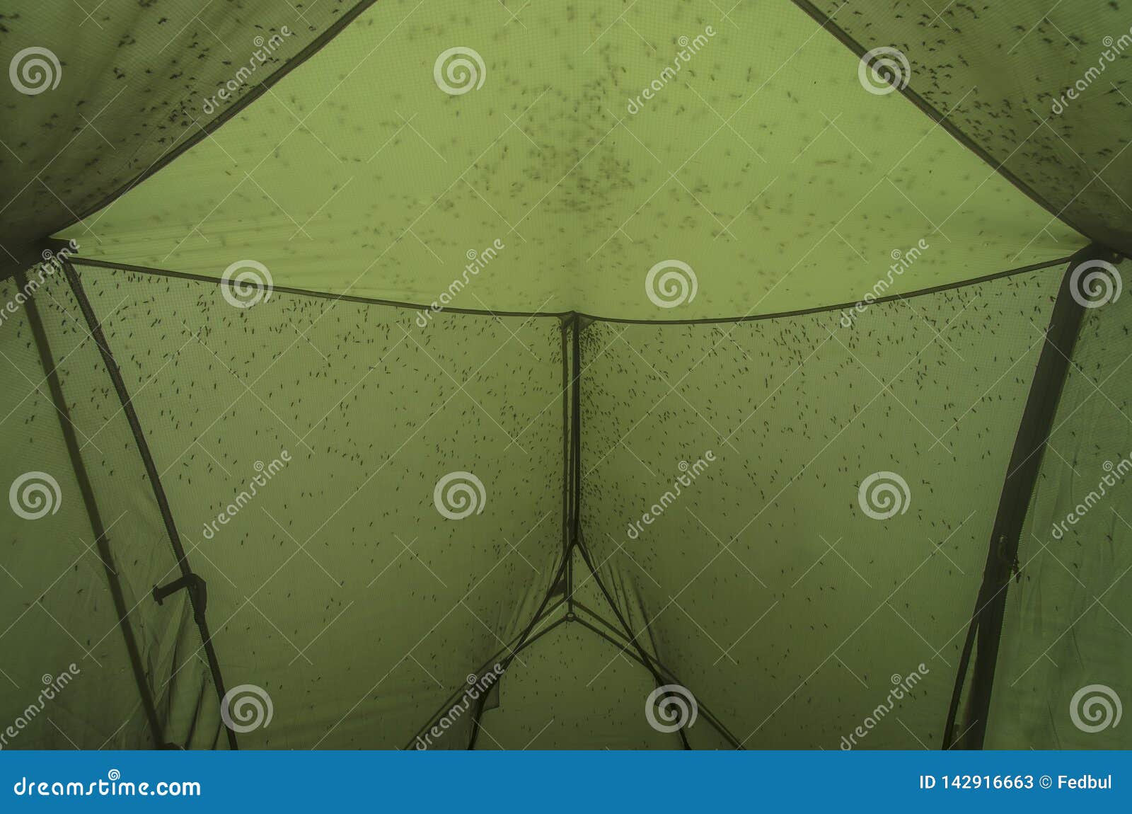 Mosquitoes in the Tent with Mosquito Protection. Inside View Stock Image Image of activity