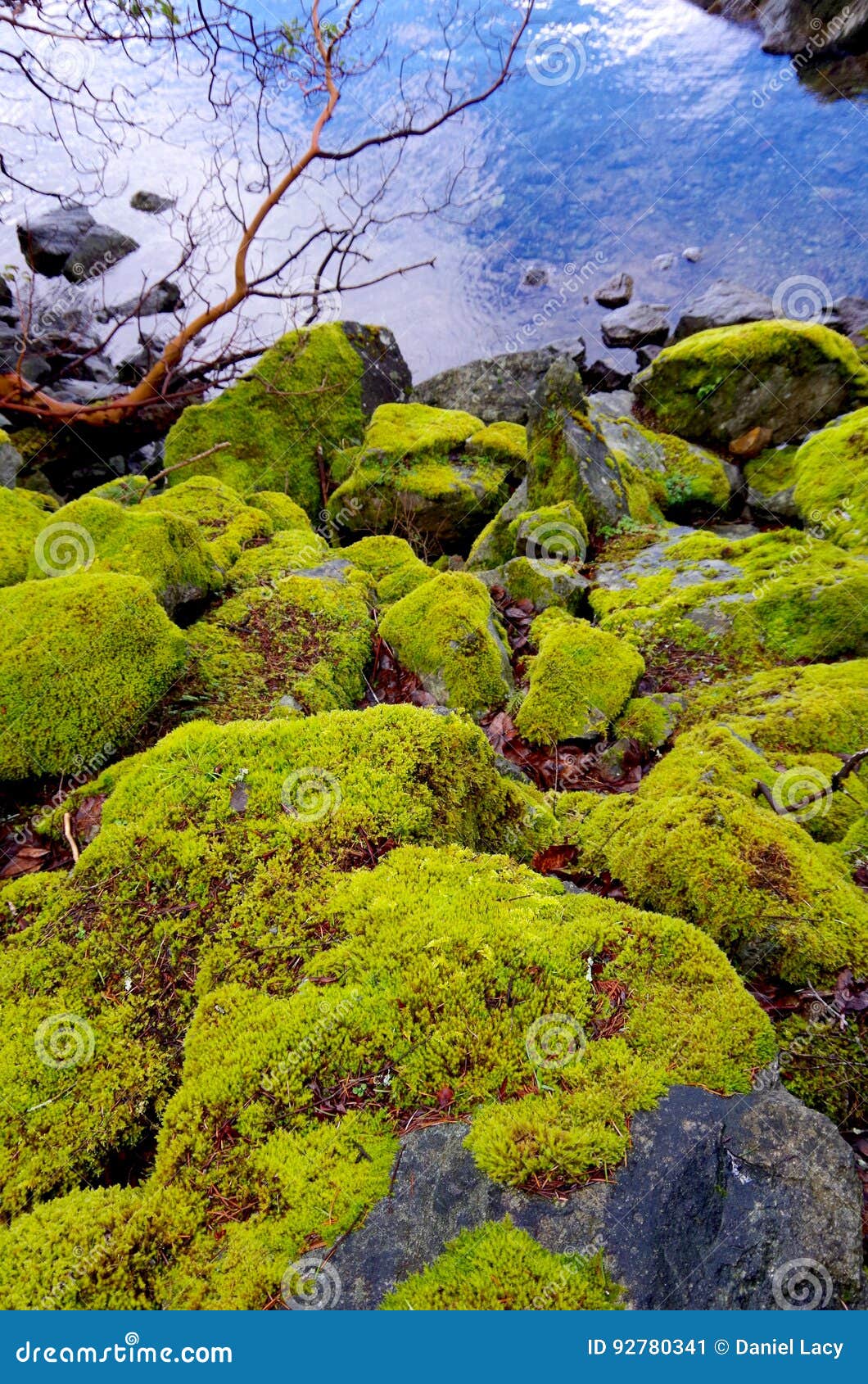 Moss Covered Boulders Slope Down To The Water Stock Image Image Of