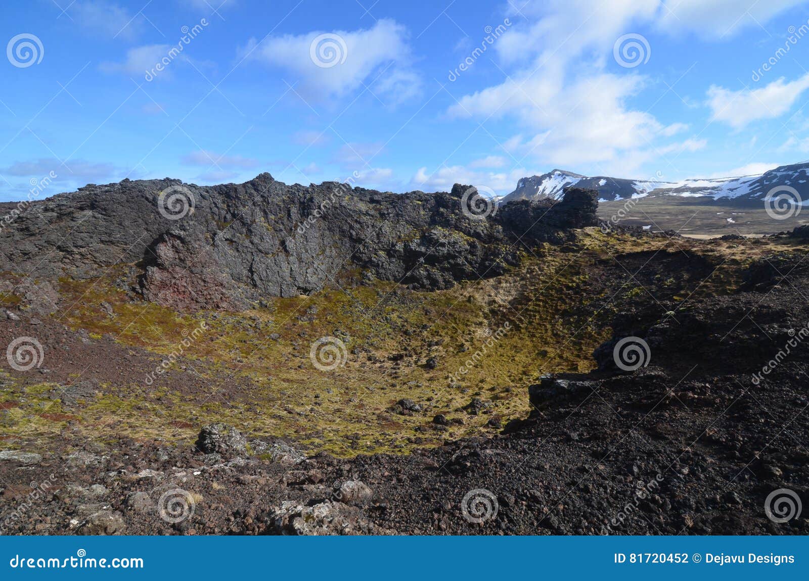 moss covered lava rock in eldborg crater