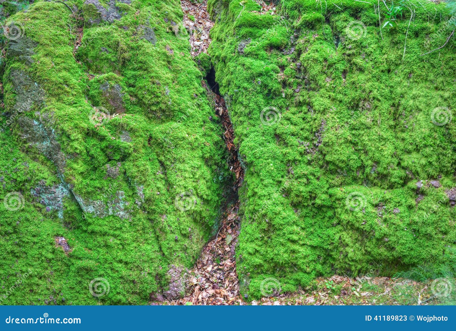 Moss Covered Stone Wall Texture Stock Photography