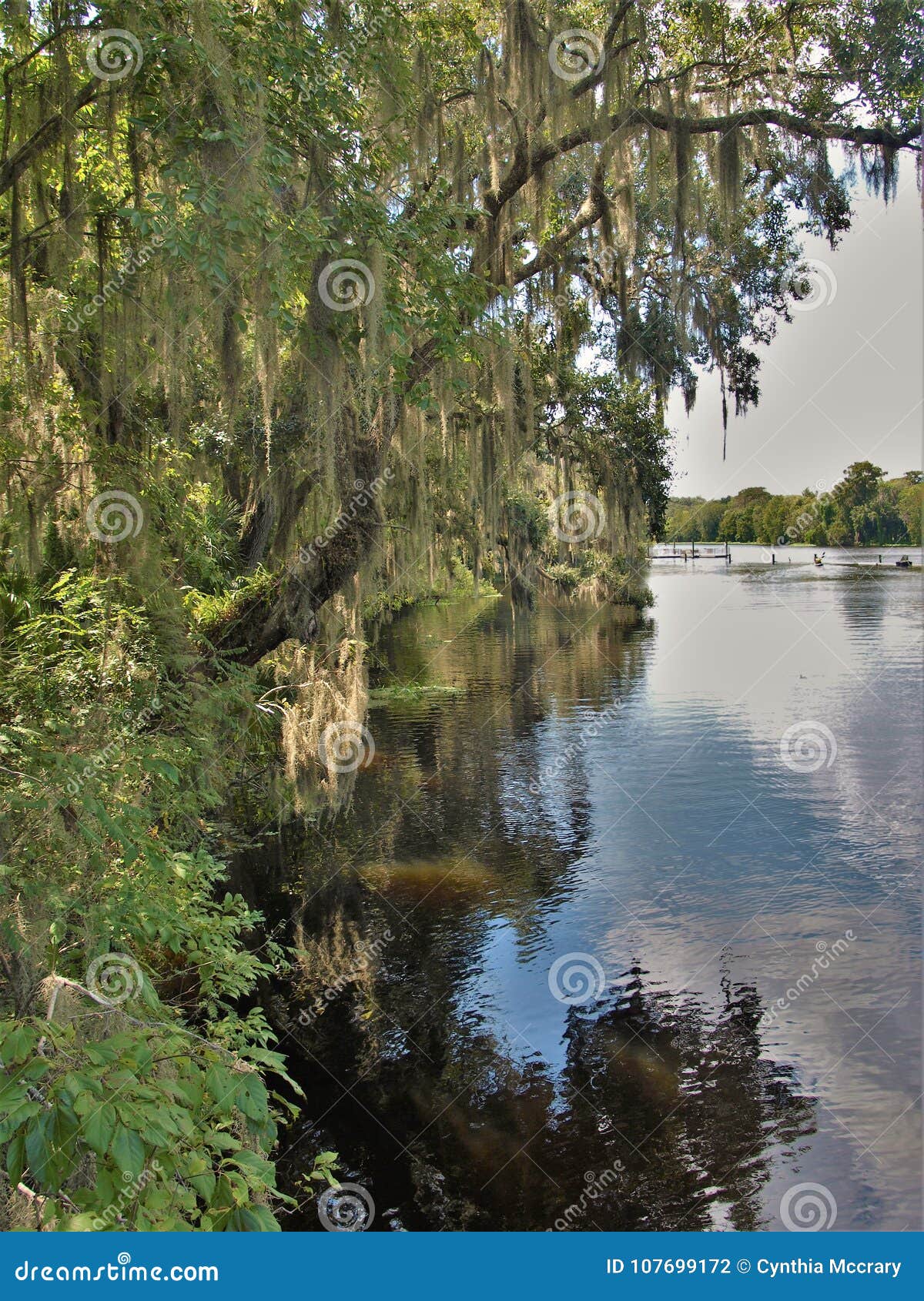 My Image 25