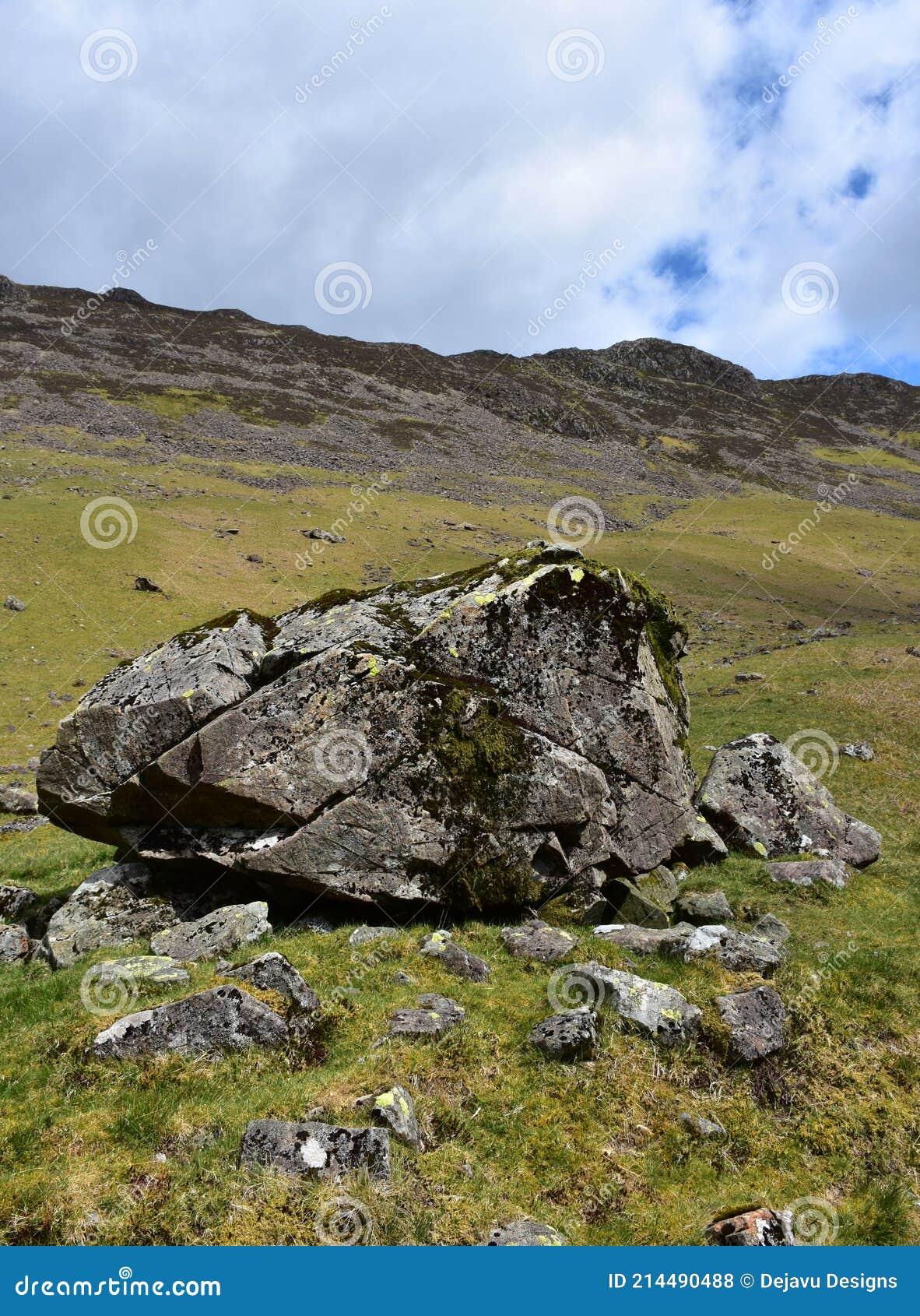 Moss Growing on a Granite Rock Boulder in England Stock Photo Image