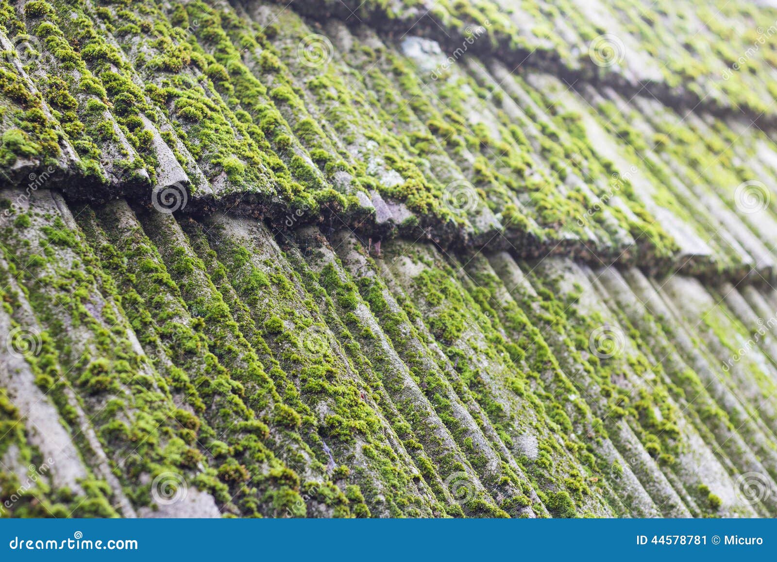Moss on old roof tiles stock image. Image of garden, growth 44578781