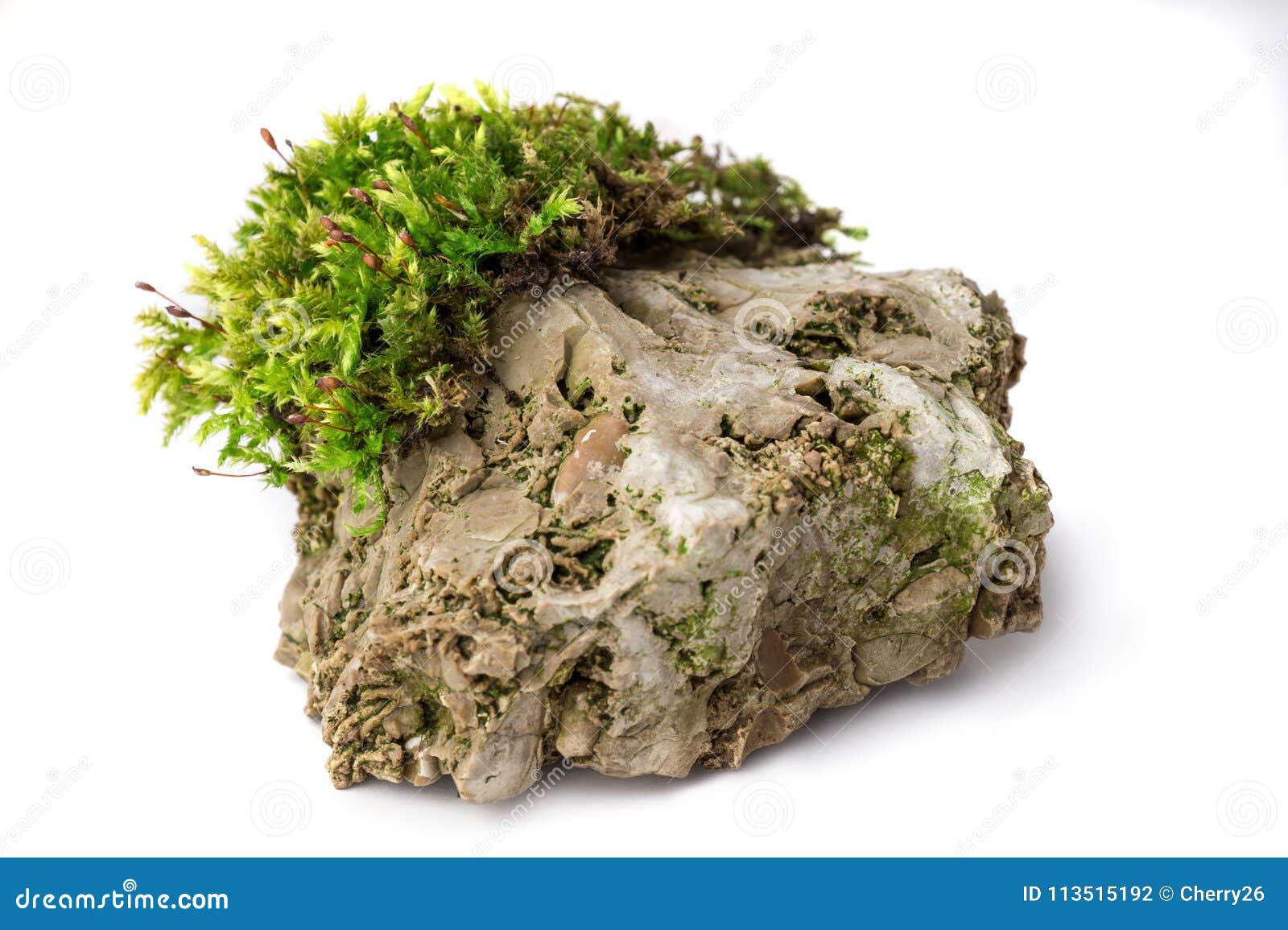 Rocks With Moss Stock Photo - Download Image Now - Backgrounds