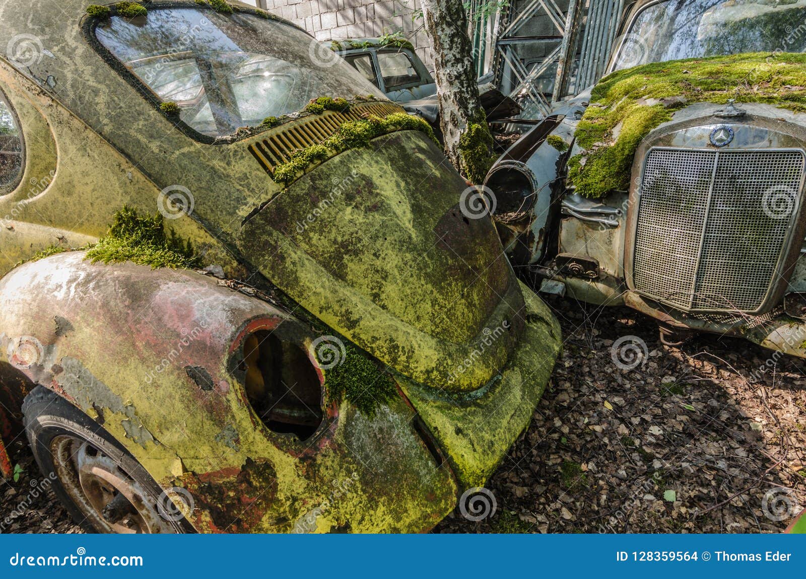 Moss on rusty cars editorial stock image. Image of decay 128359564