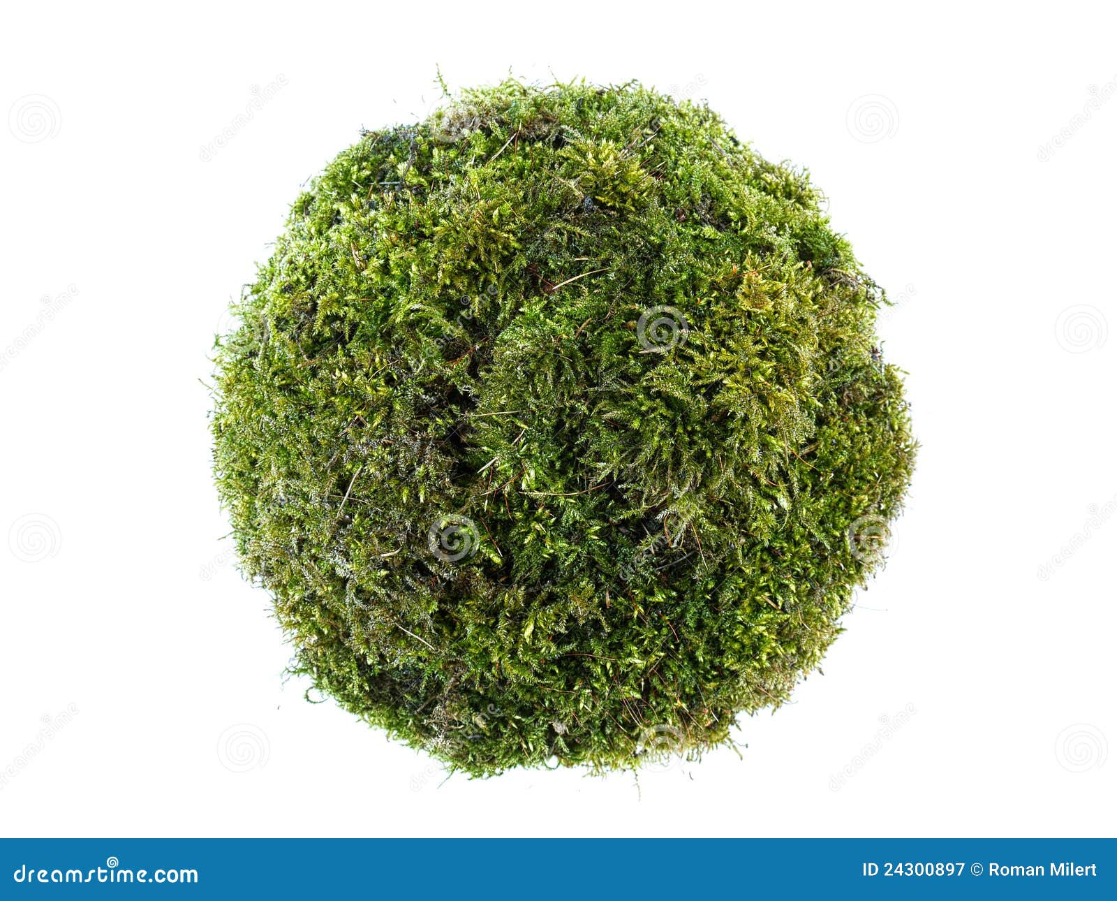 moss sphere