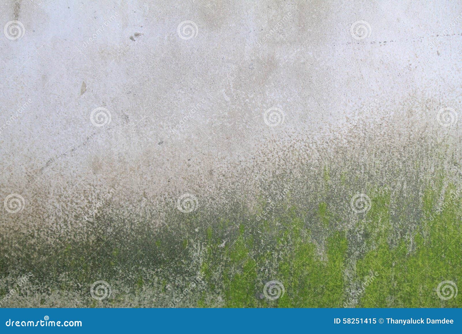 moss walls download moss walls download