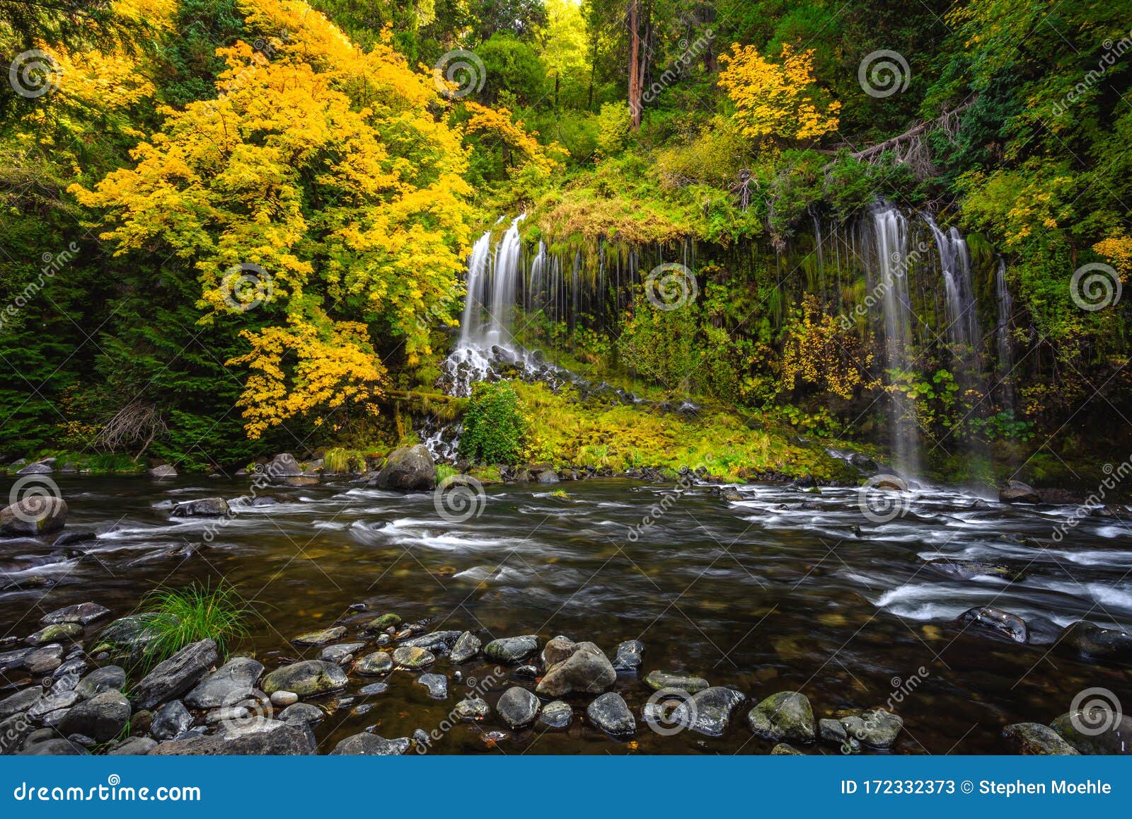 Mossbrae Falls in Northern California Stock Image Image of jungle