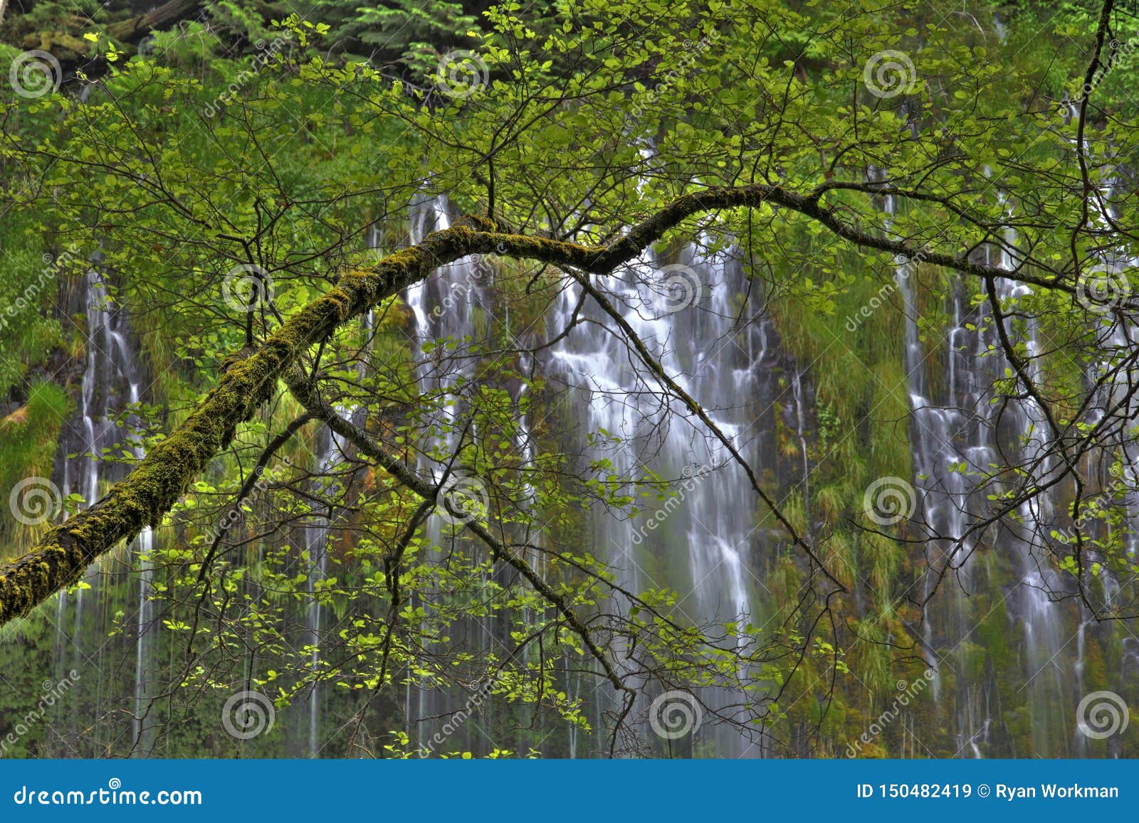 Mossbrae Falls stock image. Image of waterfall, landscape 150482419