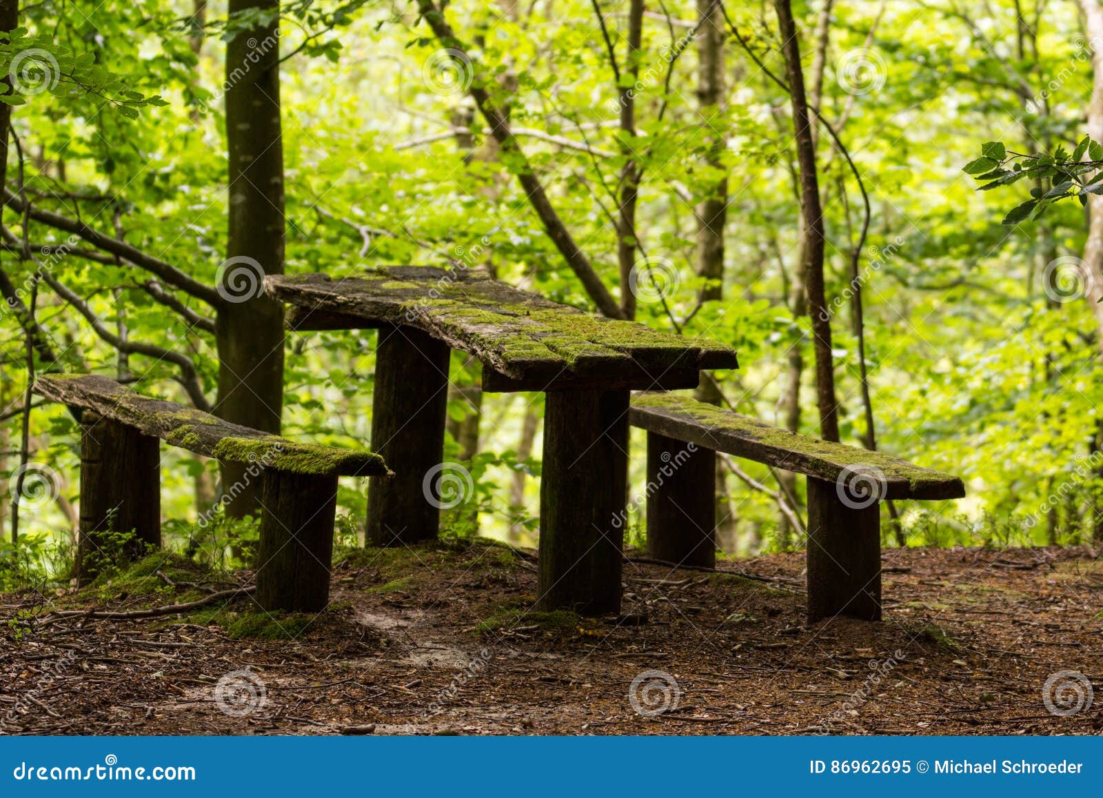 Mossy bench in a wood editorial image. Image of europe 86962695