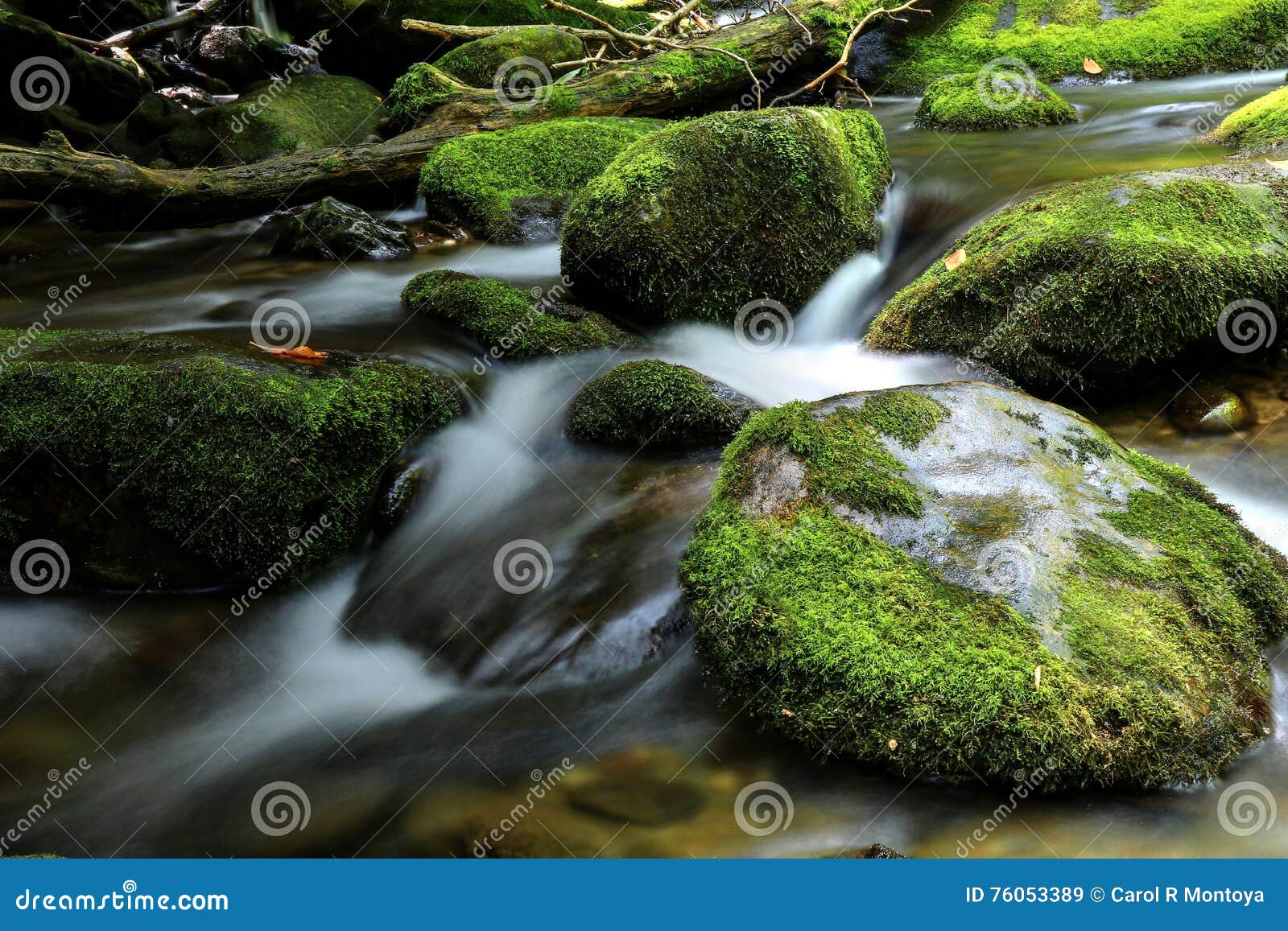 Mossy Boulders Of The Great Smoky Mountains National Park Stock Image