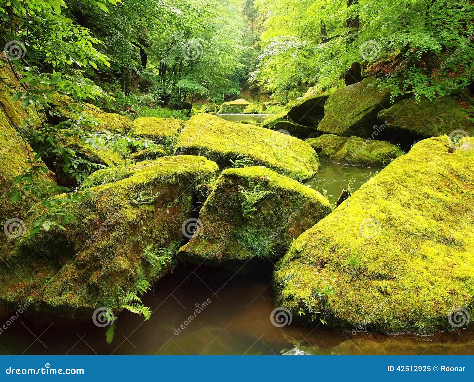 Mossy Boulders In Water Under Fresh Green Trees At Mountain River Stock