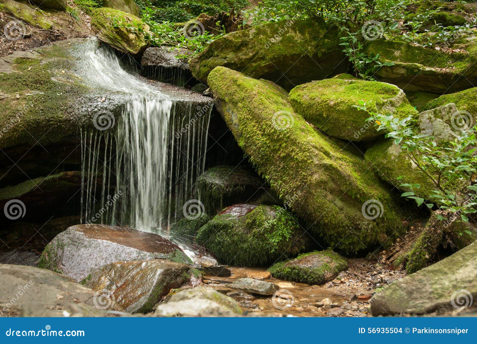 A tranquil creek cascading down a jagged landscape of moss-covered rocks  and lush foliage Stock Photo - Alamy