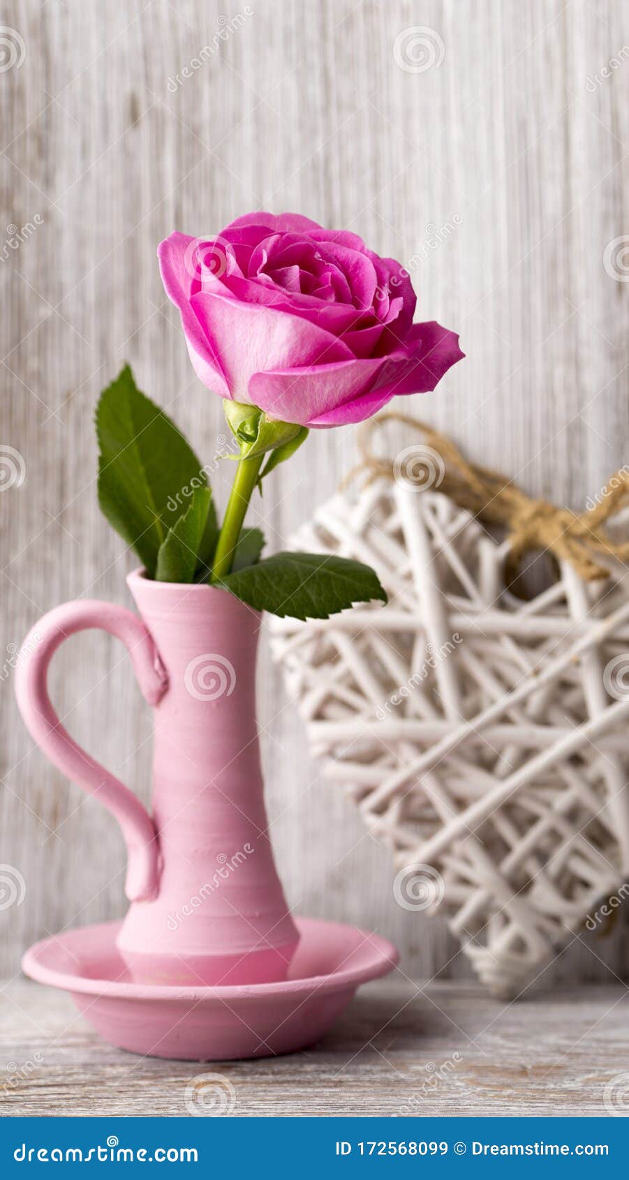Most Beautiful Fresh Rose Look! Stock Image - Image of place, love ...