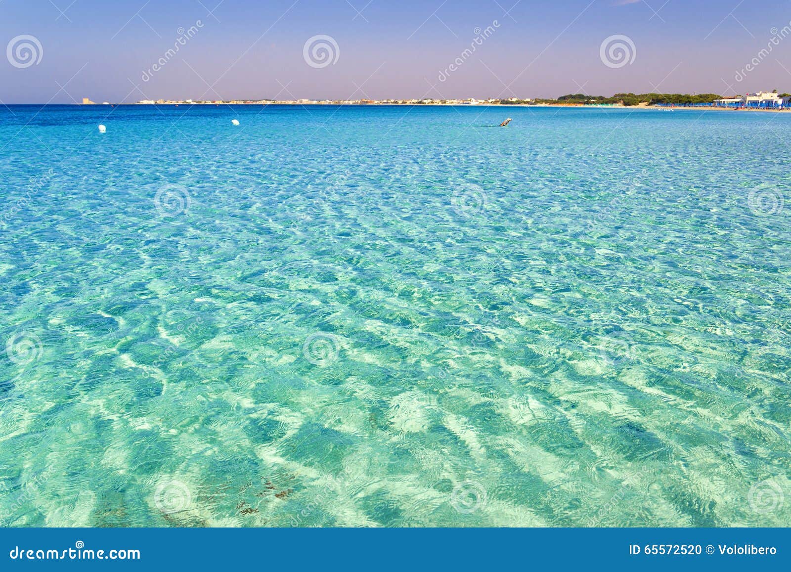 the most beautiful sandy beaches of apulia:porto cesareo marine,salento coast.italy (lecce).