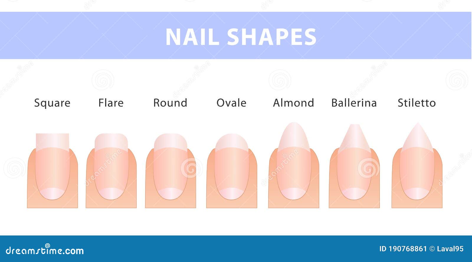 The Most Popular Forms of Nails. Different Types of Nails Stock Vector ...